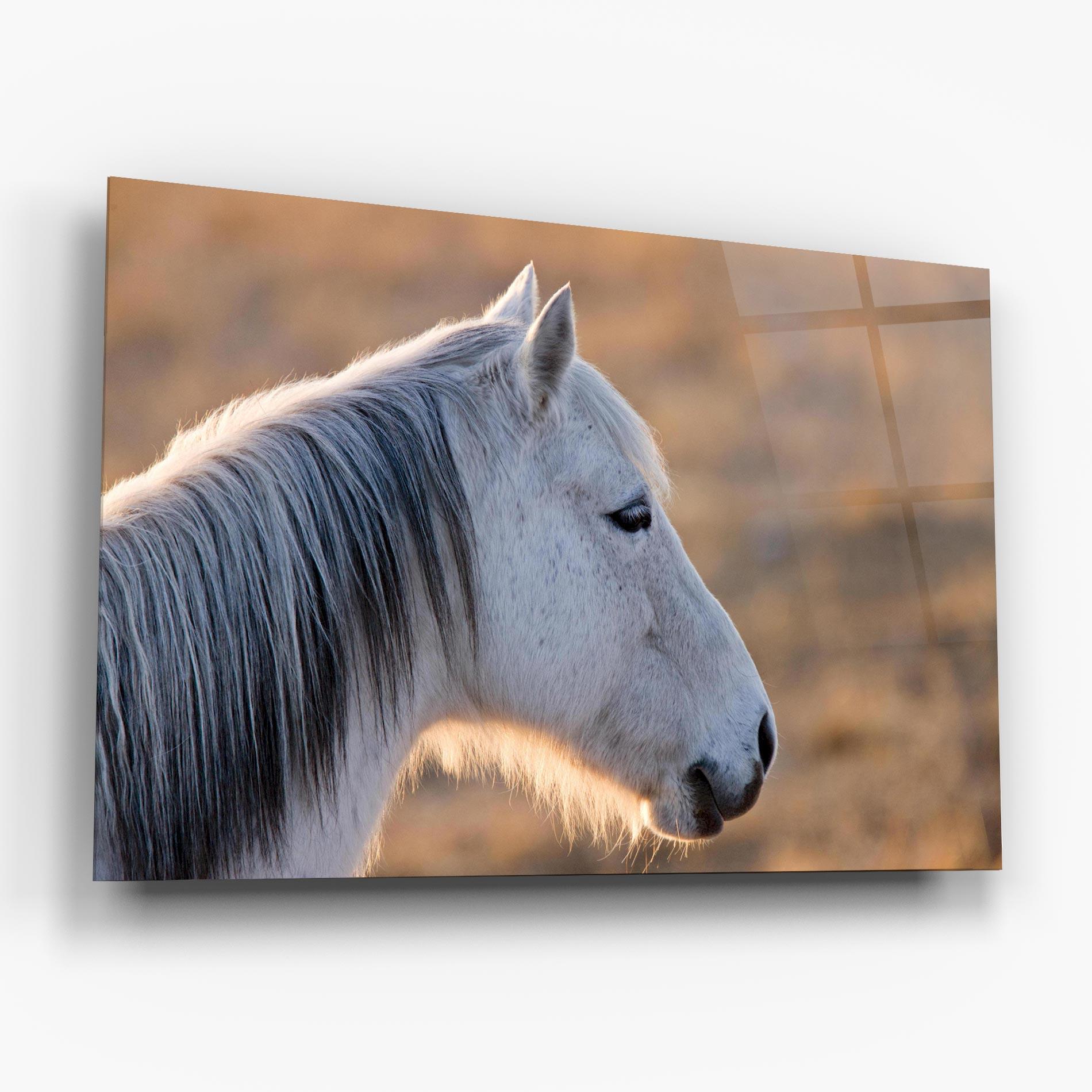 Tablou Sticla Light Gray Horse Looking mockup 6