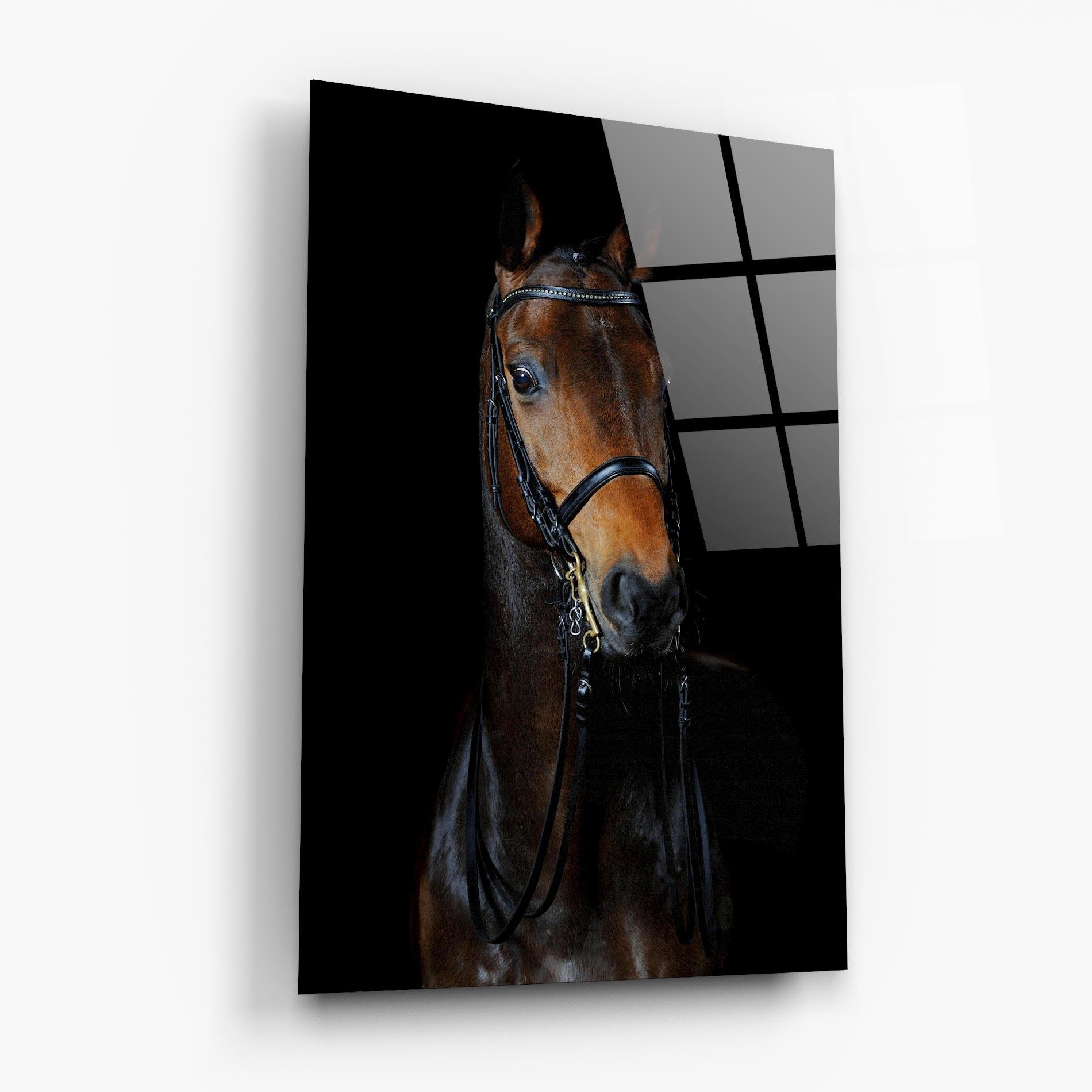 Tablou Sticla Brown Horse On Black mockup 6