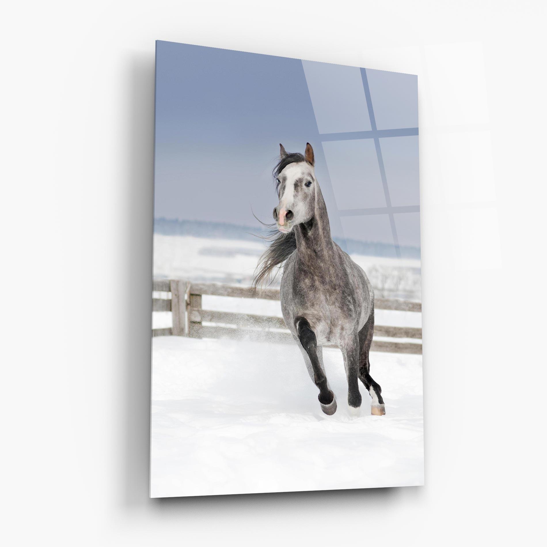 Tablou Sticla Horse Running Free mockup 6