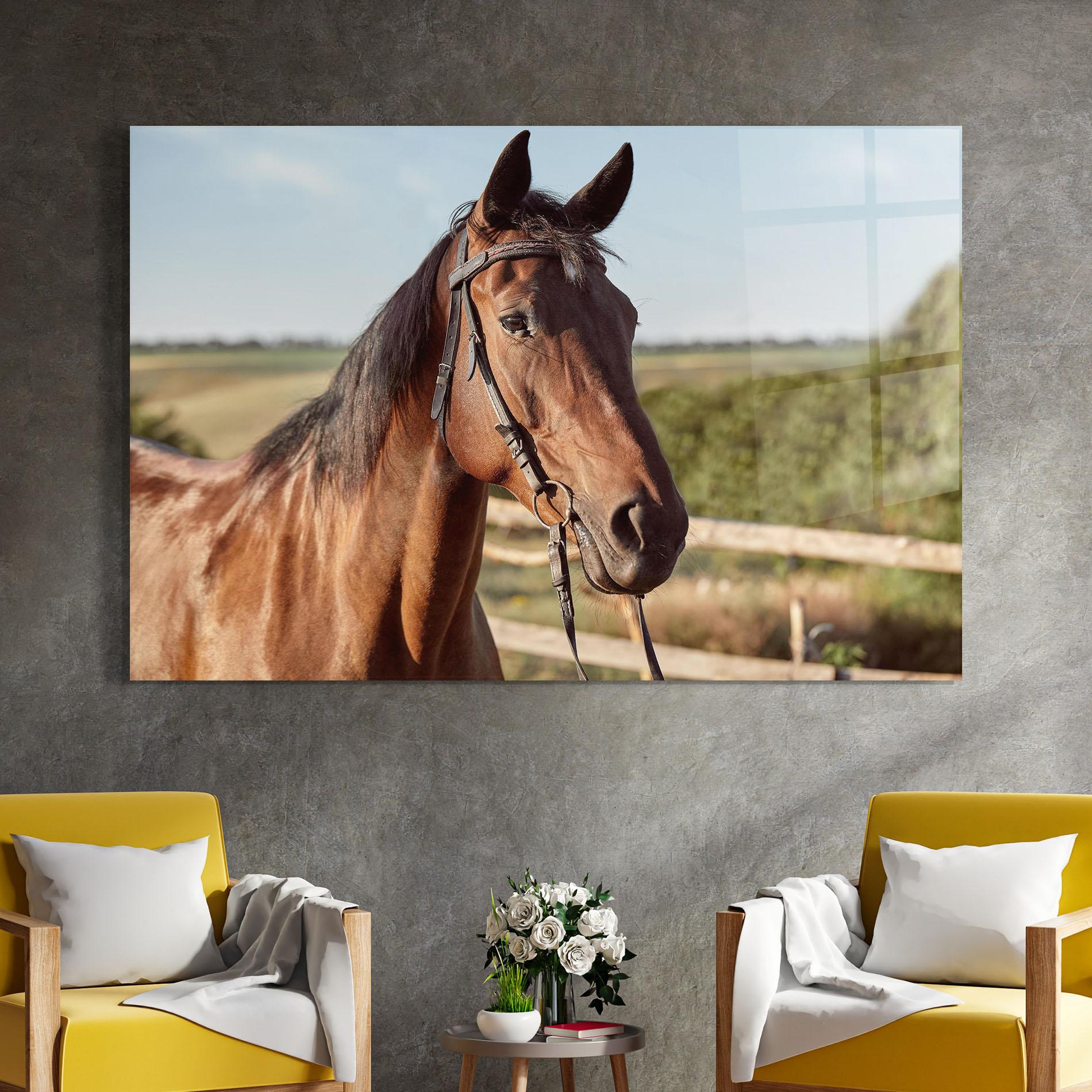 Tablou Sticla Brown Horse Close Up mockup 4