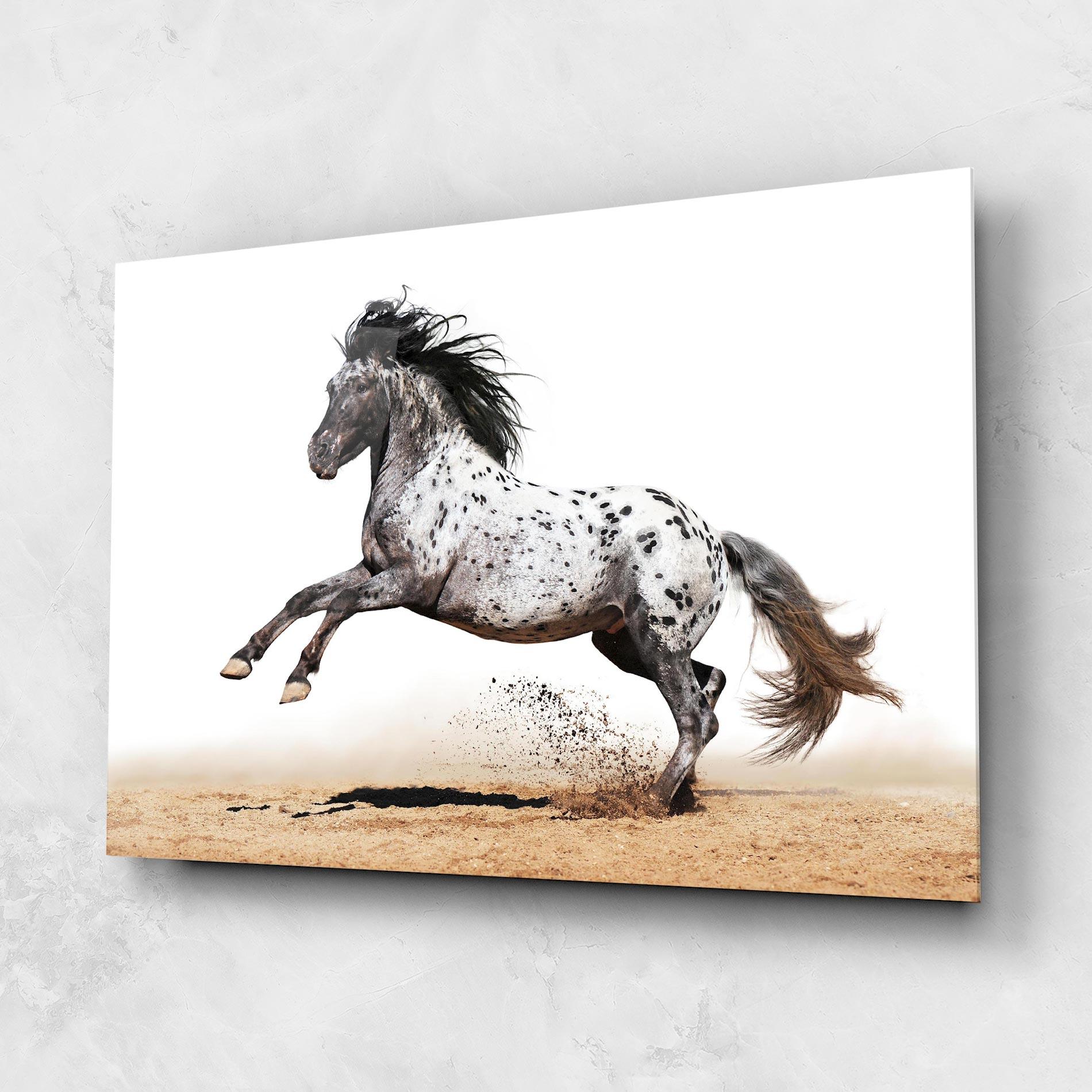 Tablou Sticla Appaloosa Horse Running mockup 1