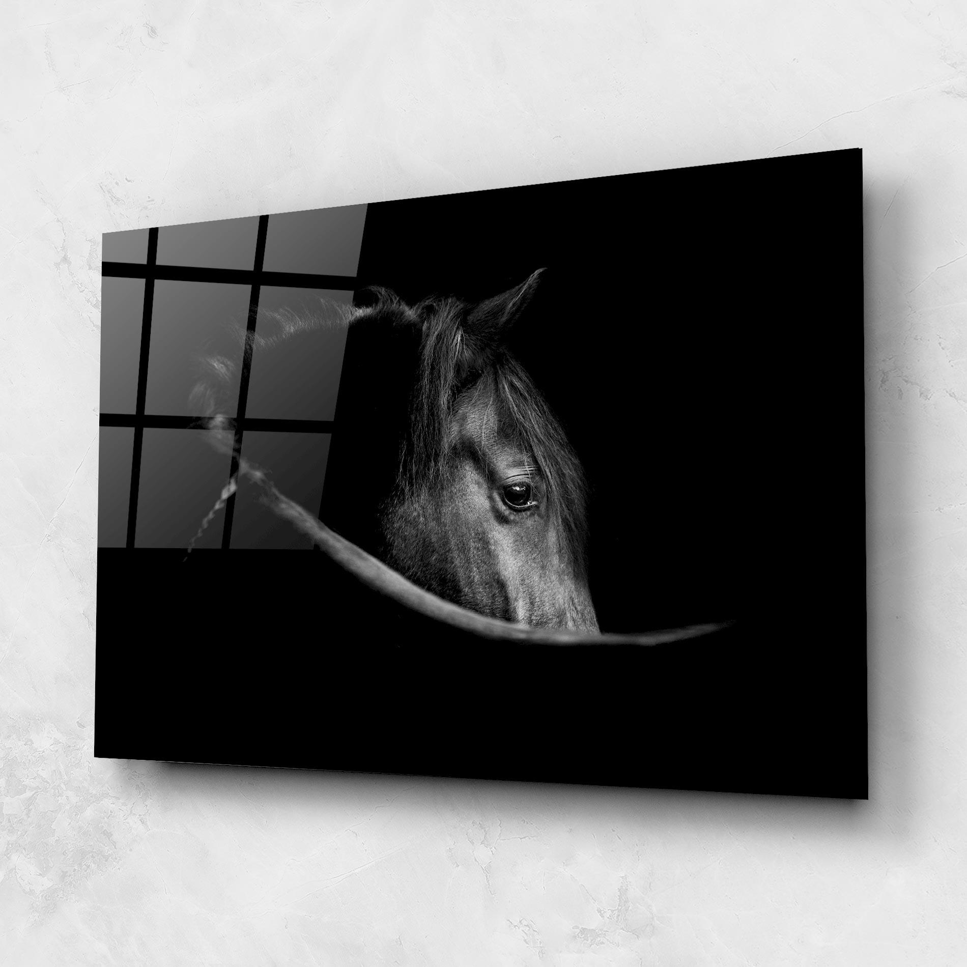 Tablou Sticla Black Horse Looking mockup 1