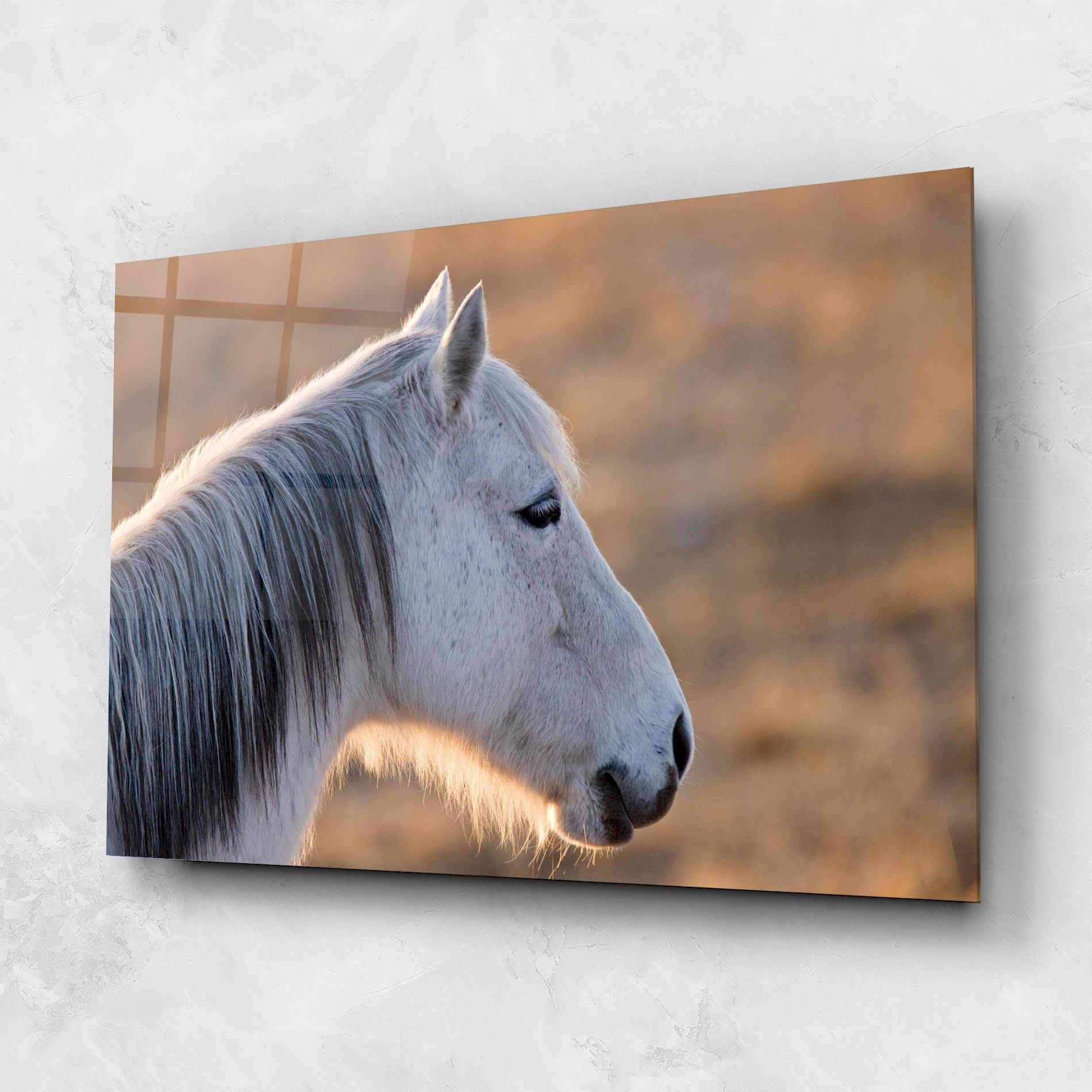 Tablou Sticla Light Gray Horse Looking mockup 1