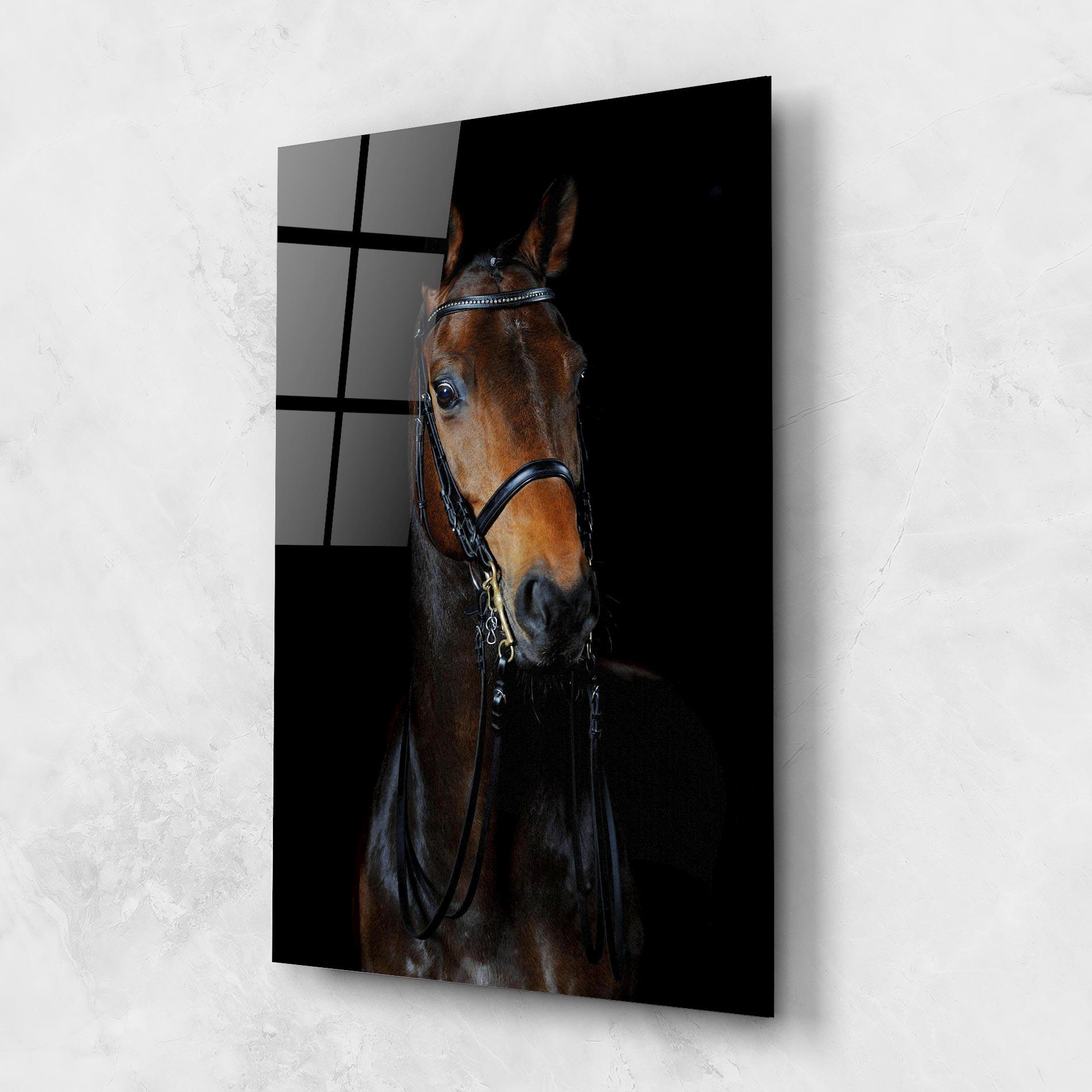 Tablou Sticla Brown Horse On Black mockup 1