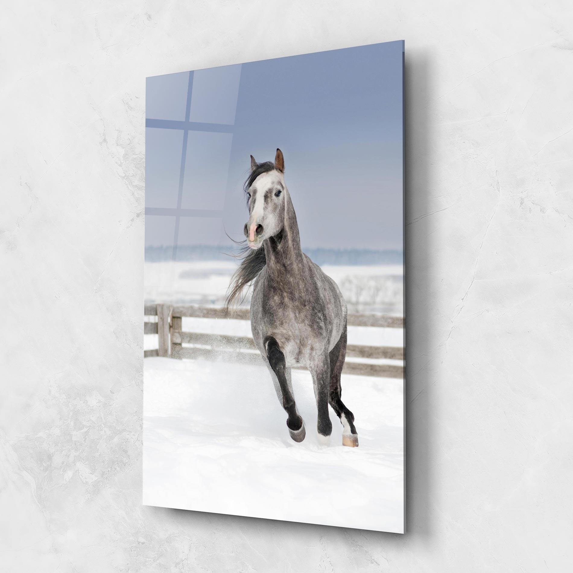 Tablou Sticla Horse Running Free mockup 1