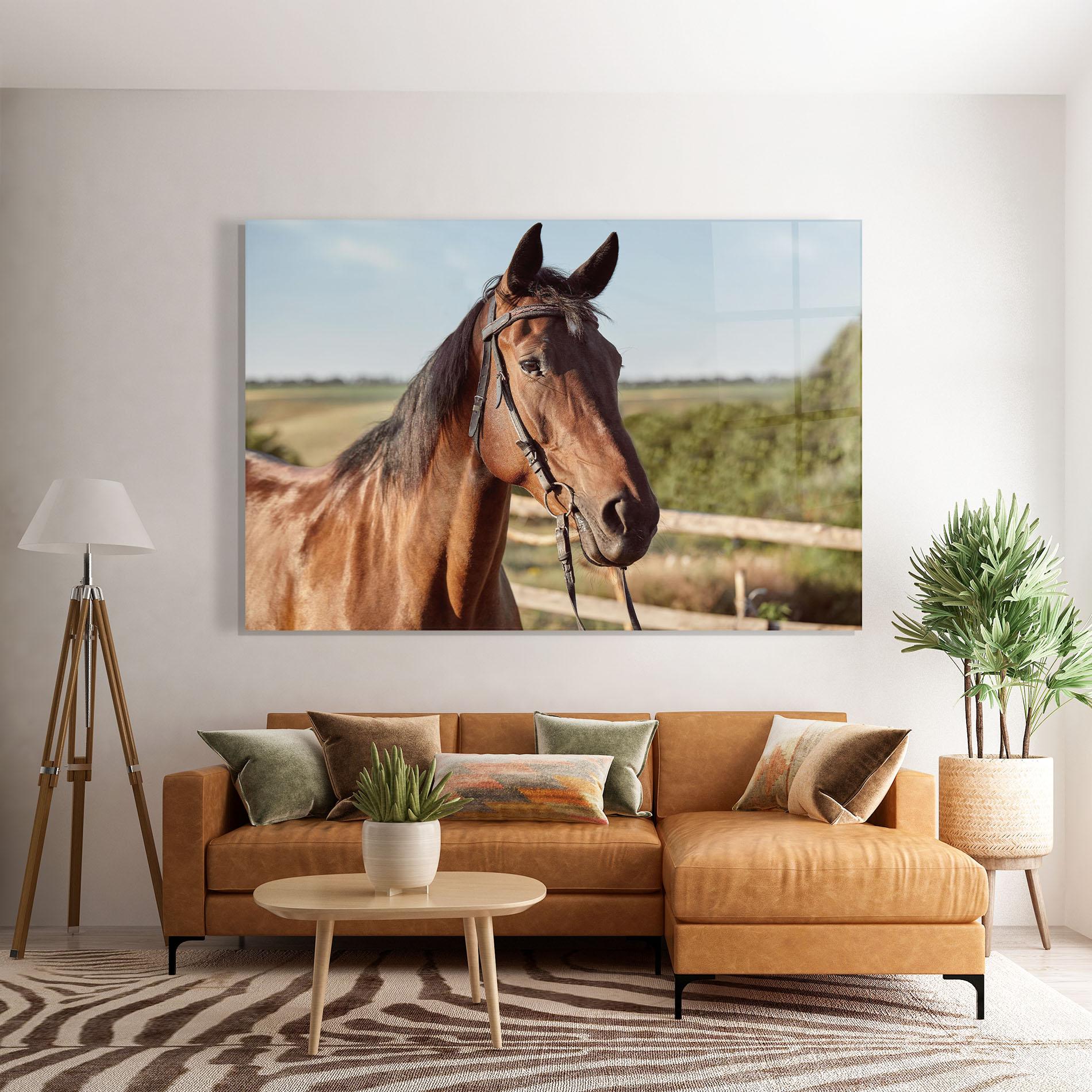 Tablou Sticla Brown Horse Close Up mockup 7