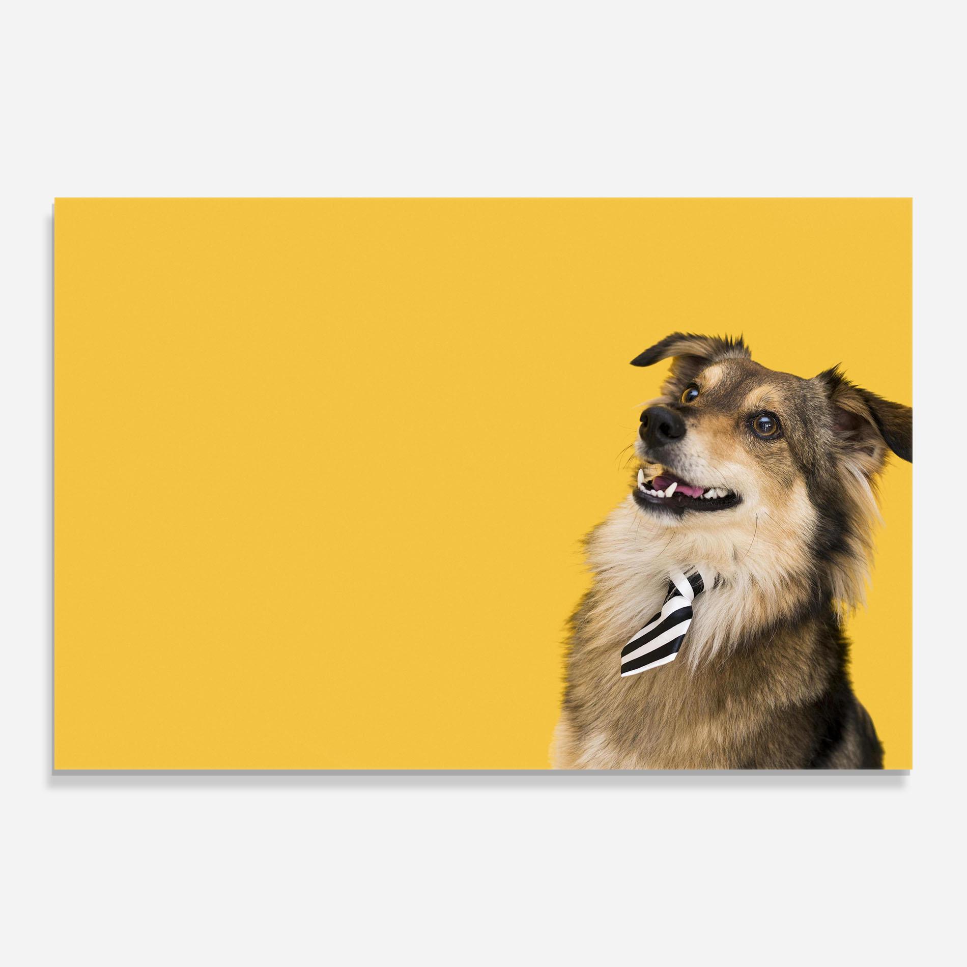 Tablou Sticla Cute Smiling Dog mockup 0