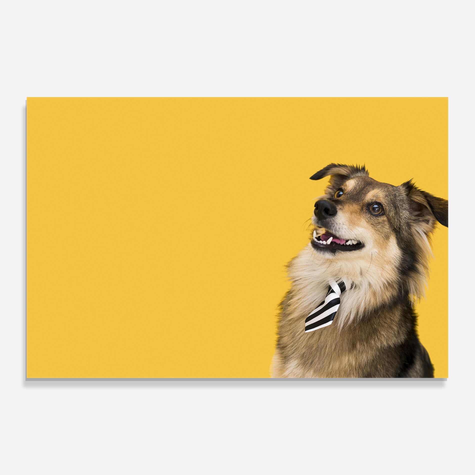 Cute Smiling Dog mockup 0