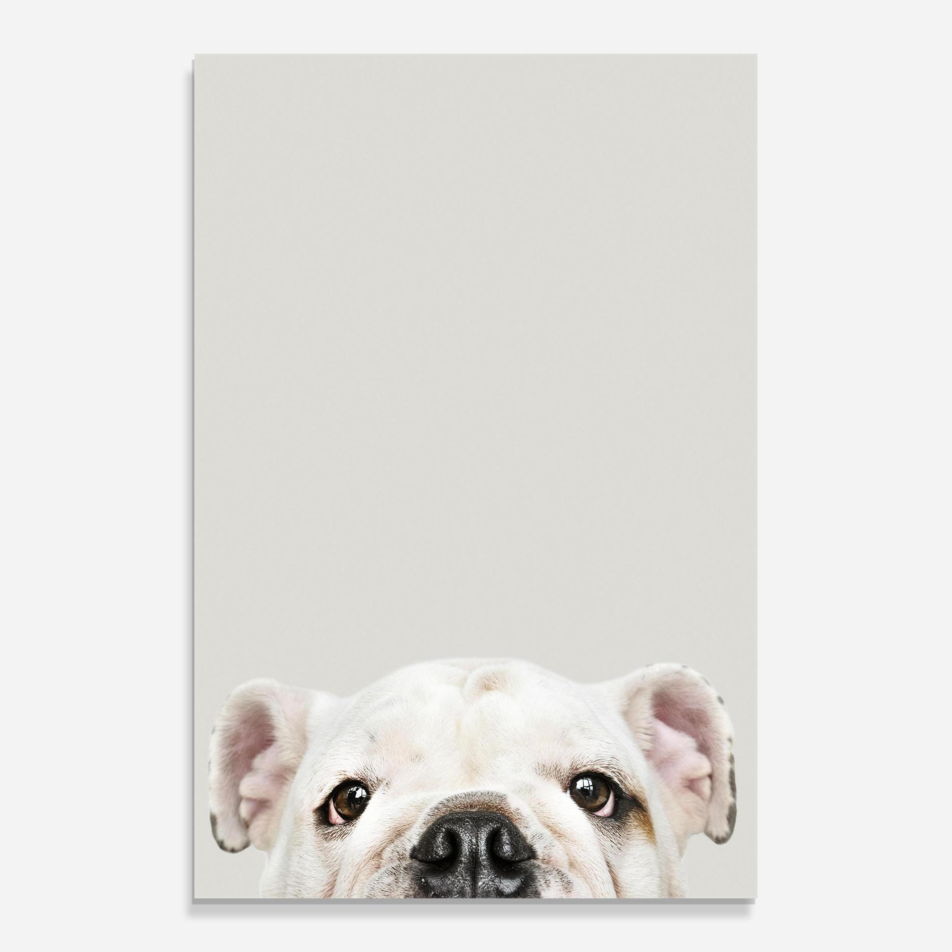 Tablou Sticla Bulldog Eyes mockup 0