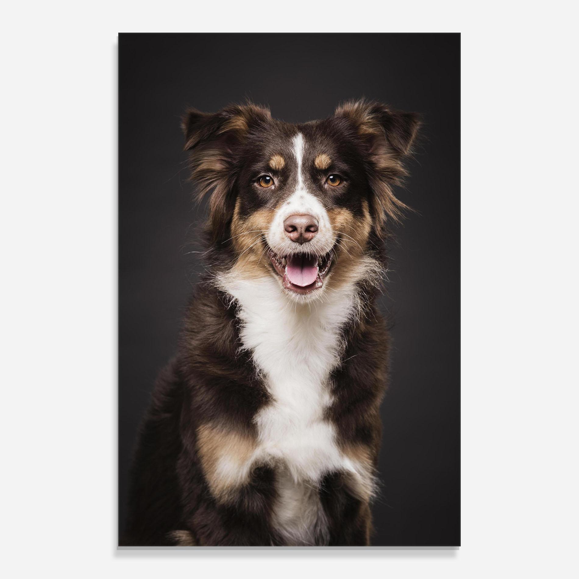 Tablou Sticla Cute Dog Sitting mockup 0