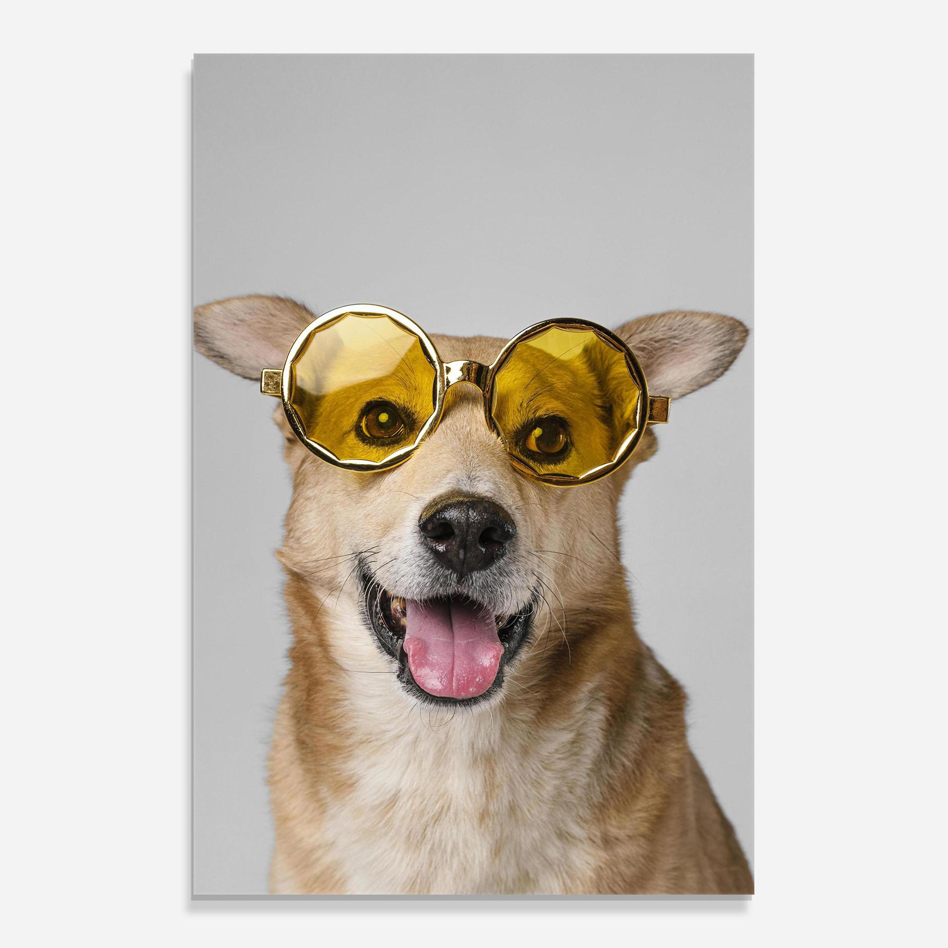 Tablou Sticla Cute Smiley Dog mockup 0