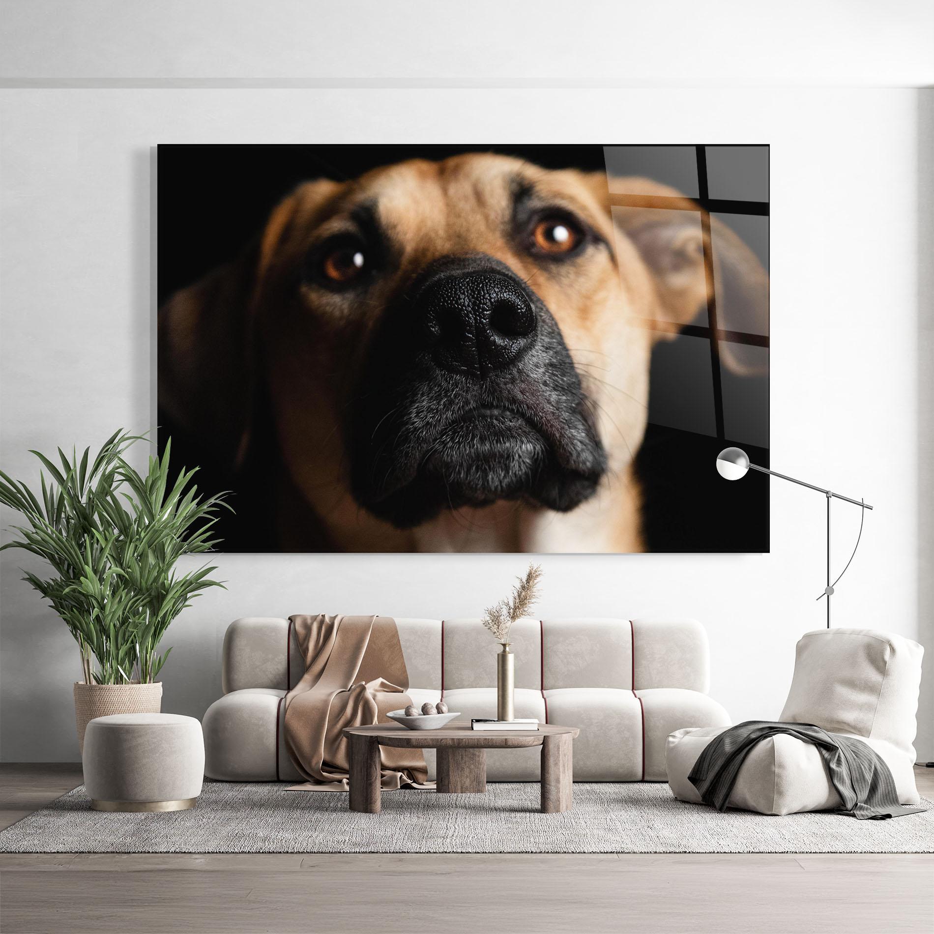 Tablou Sticla Black Nose Dog mockup 9