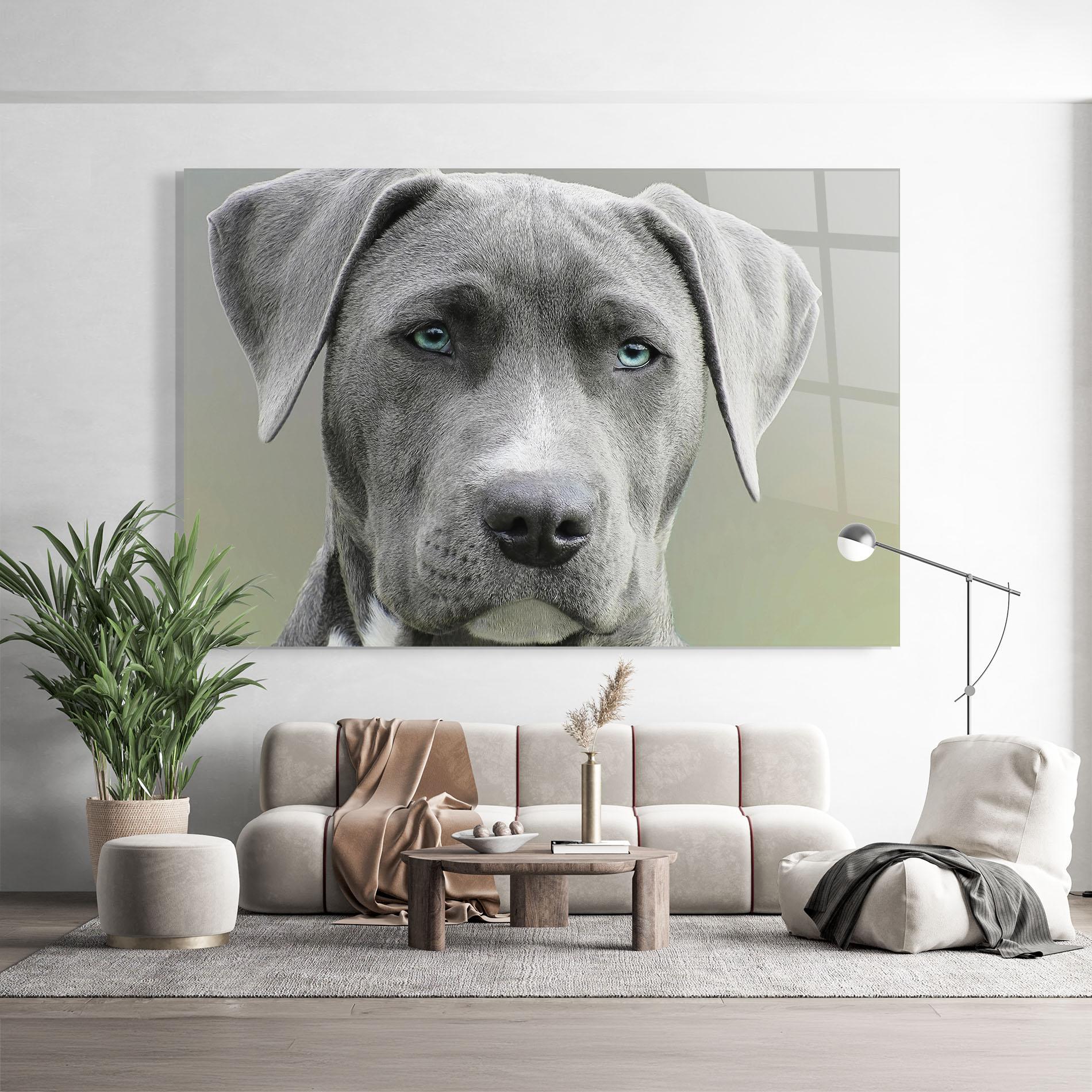 Tablou Sticla Blue Eyes Dog mockup 9