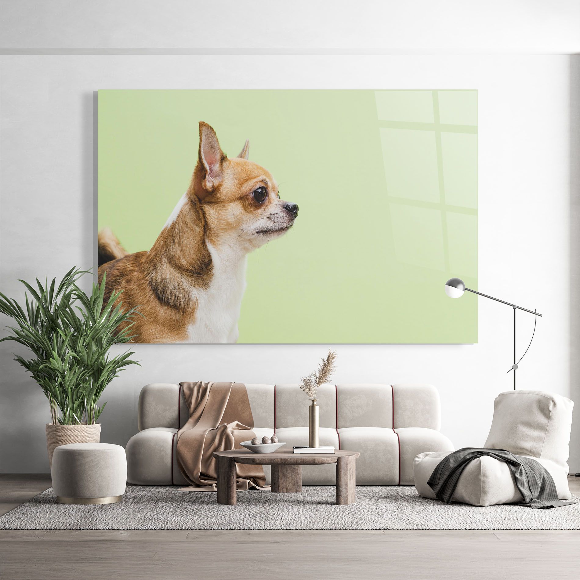 Chihuahua Dog mockup 9