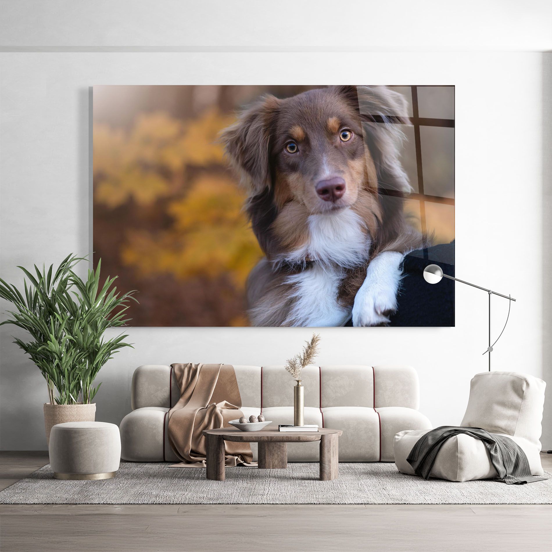 Coffee Brown Dog mockup 9