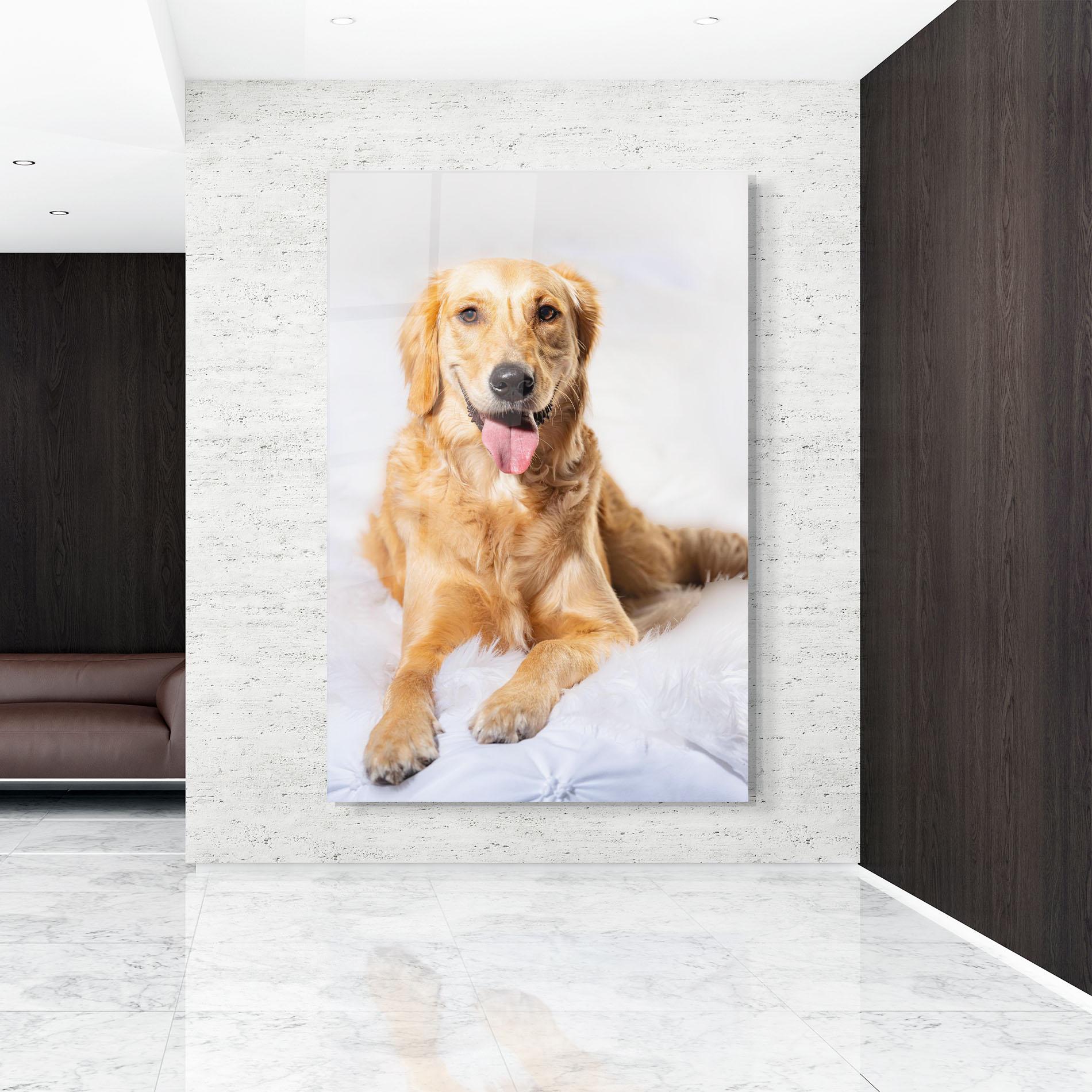 Tablou Sticla Beautiful Gold Dog mockup 9