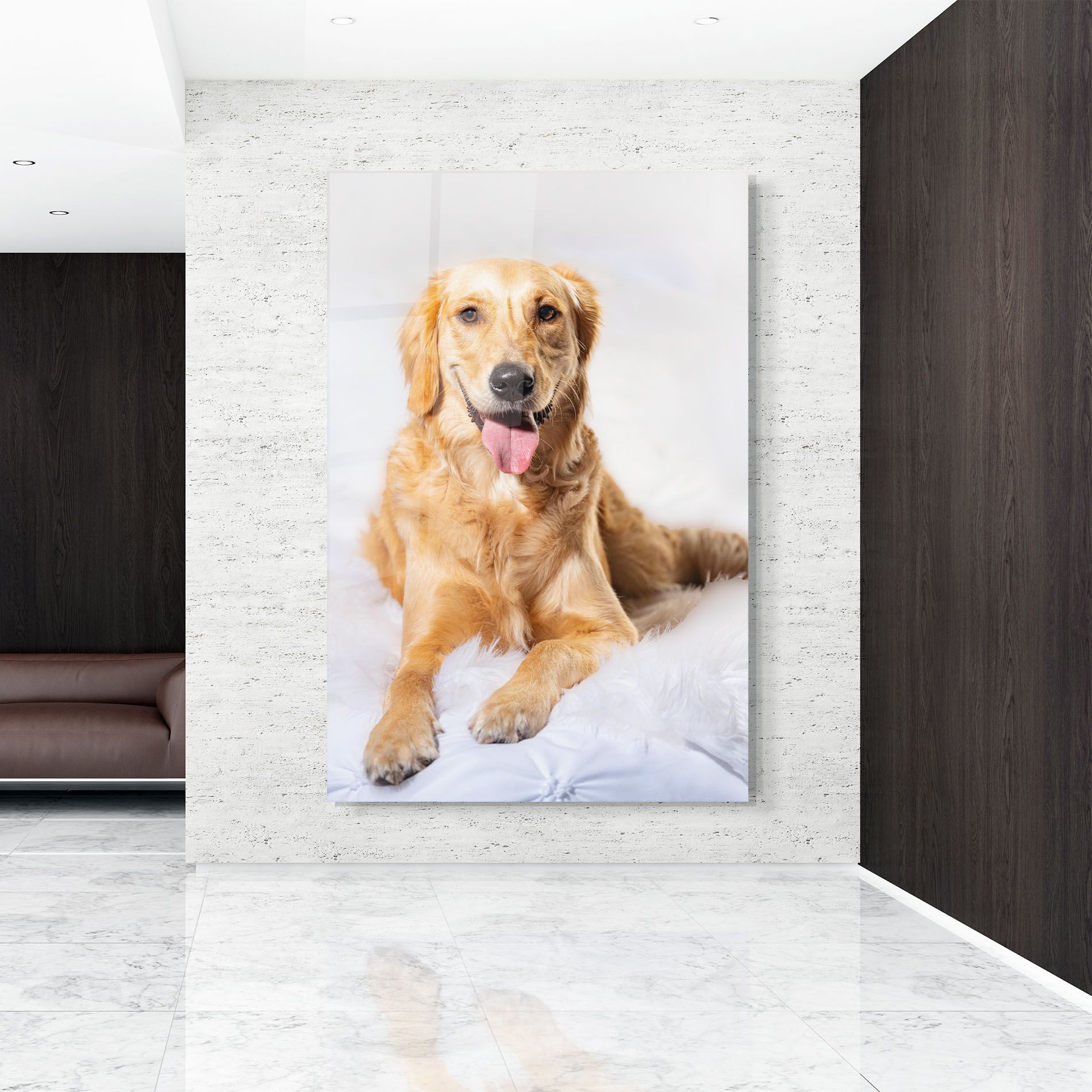 Beautiful Gold Dog mockup 9