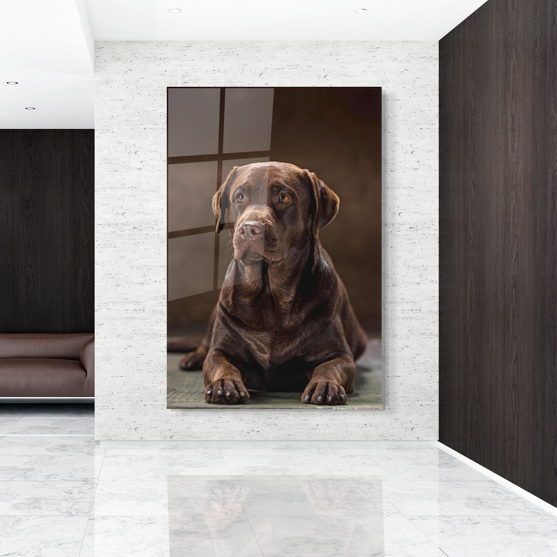 Tablou Sticla Brown Labrador Dog mockup 9