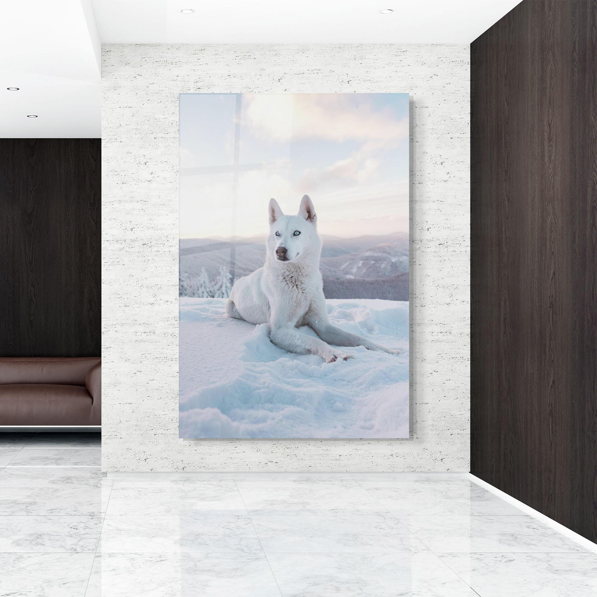 Tablou Sticla White Husky mockup 9