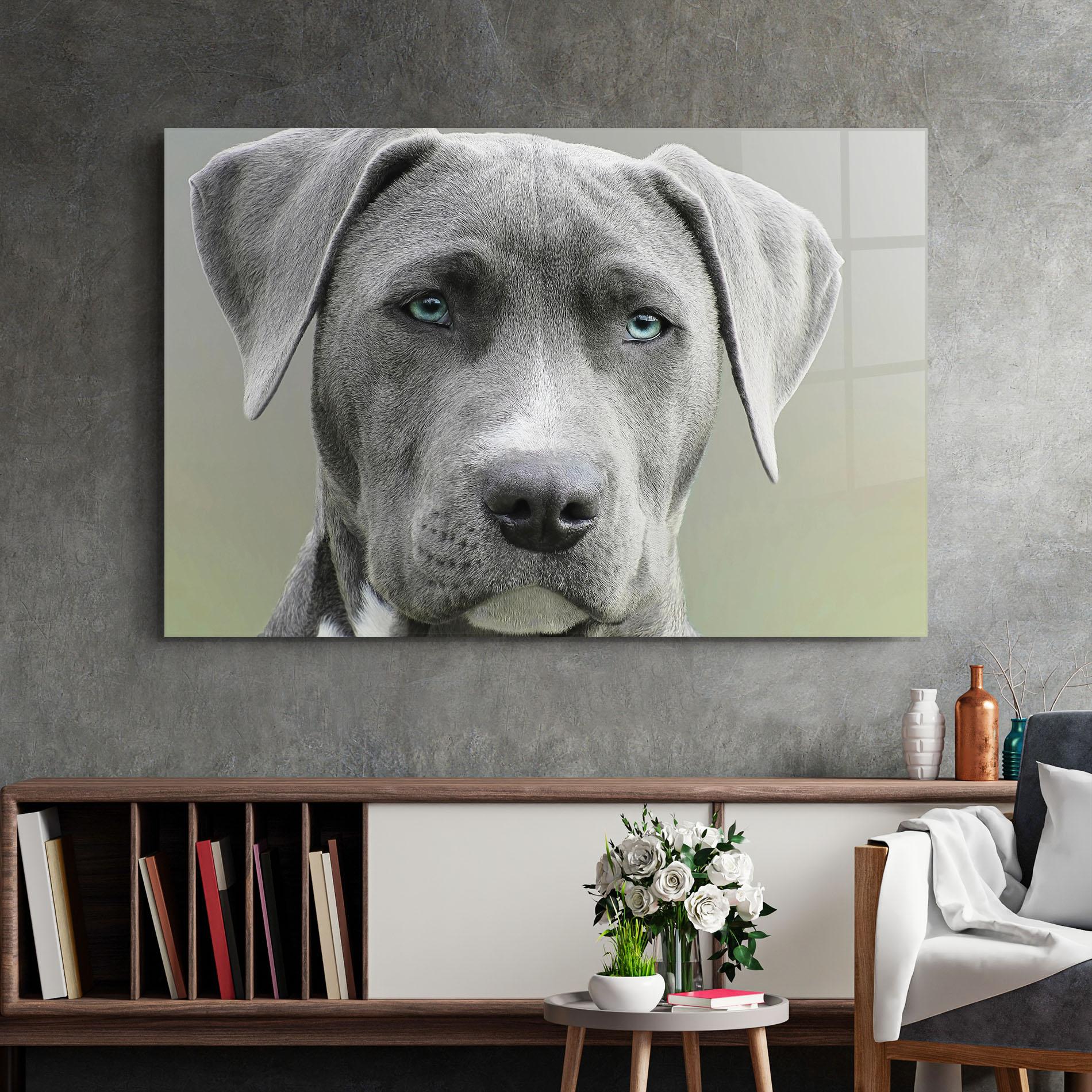 Tablou Sticla Blue Eyes Dog mockup 2