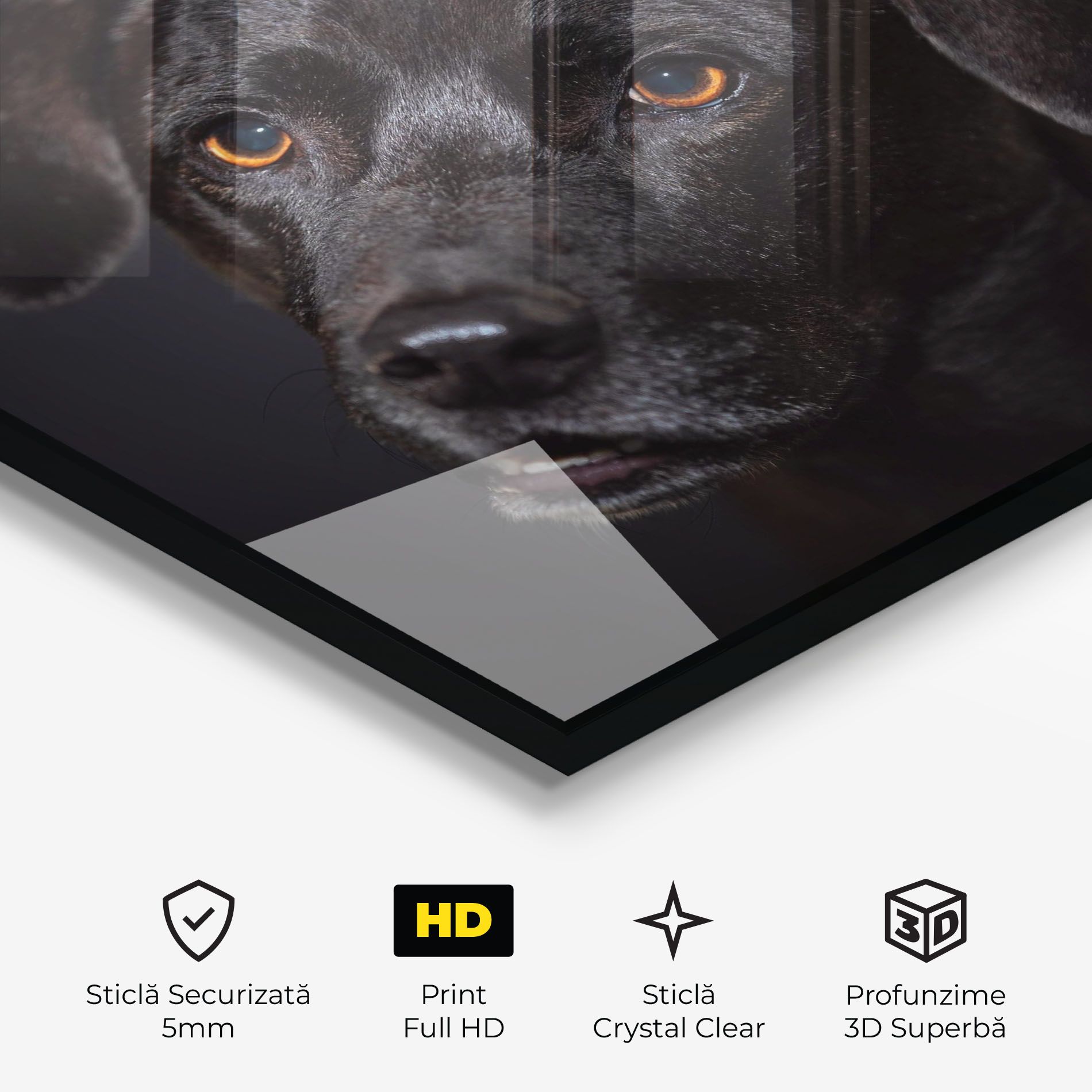 Black Dog Portrait mockup 3