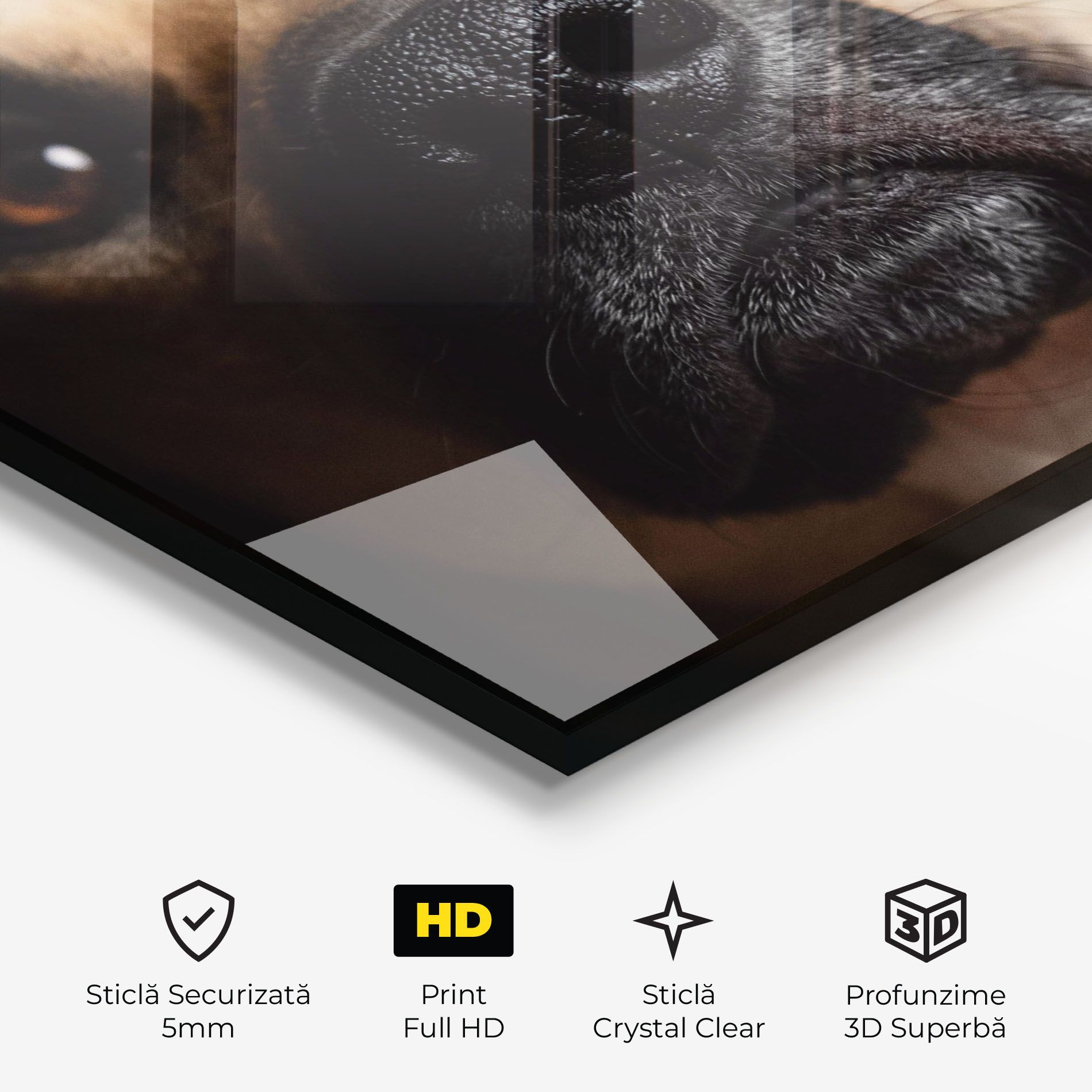 Black Nose Dog mockup 3