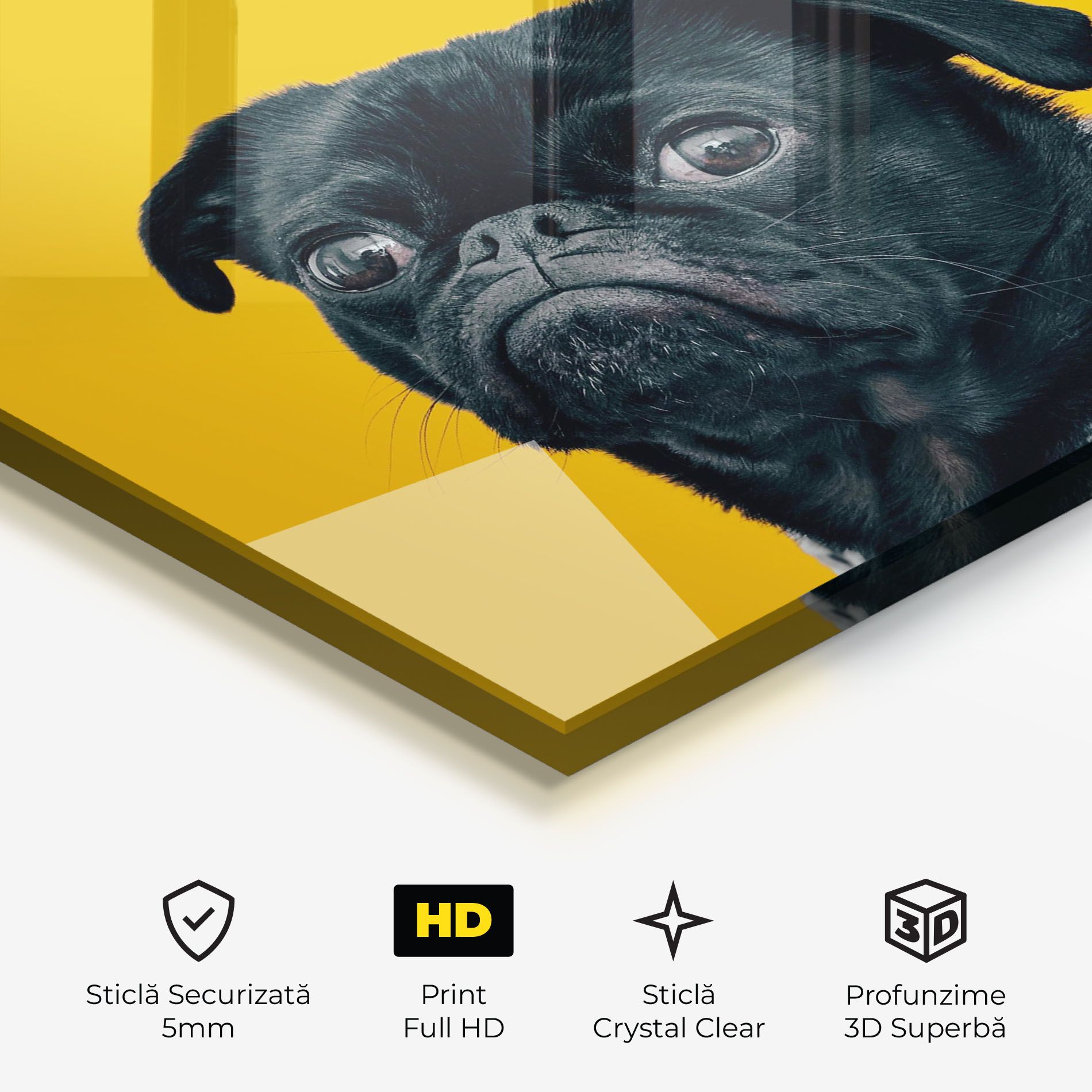 Black Pug mockup 3