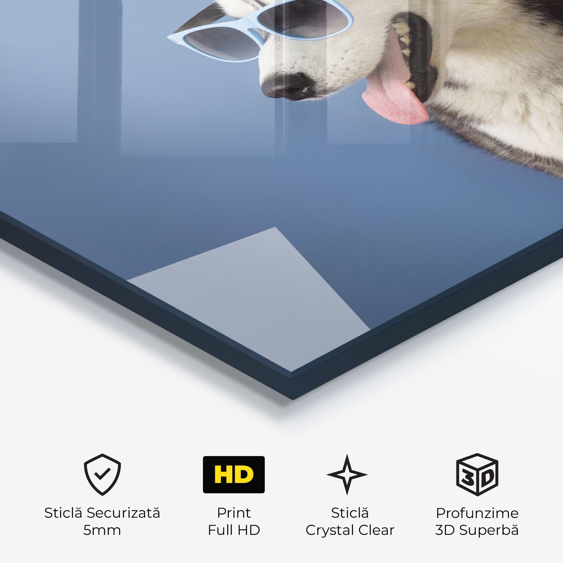 Blue Glasses Dog mockup 3