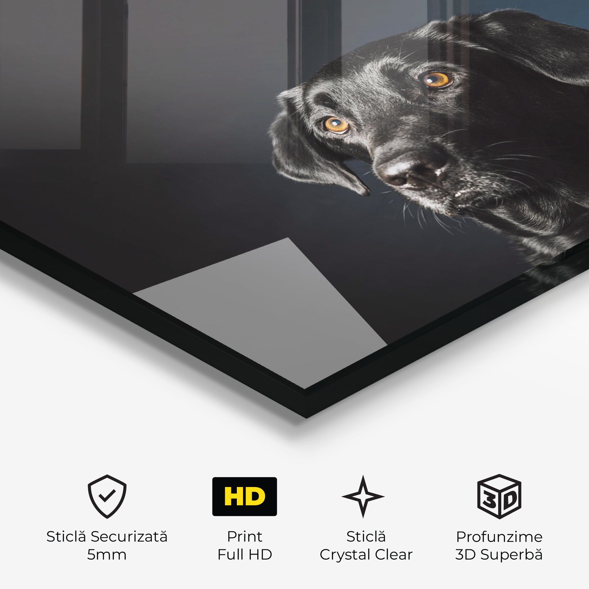 Brown Eyes Dog mockup 3