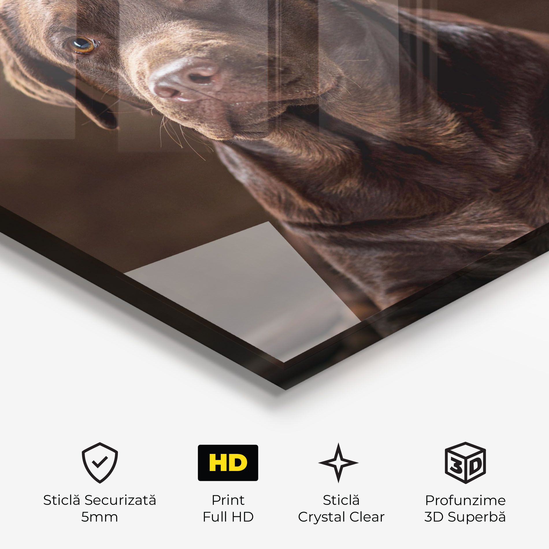 Brown Labrador Dog mockup 3