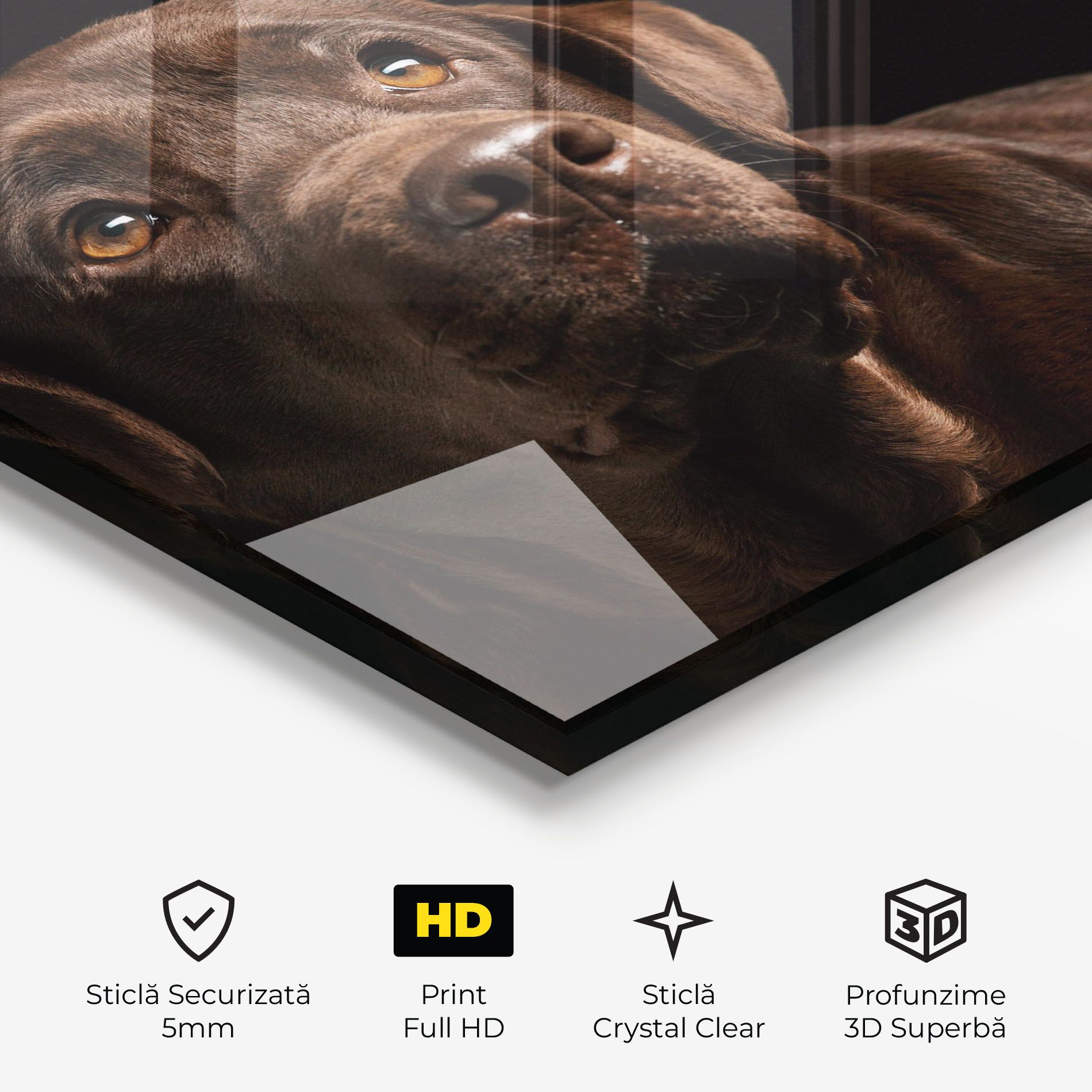 Brown Labrador mockup 3