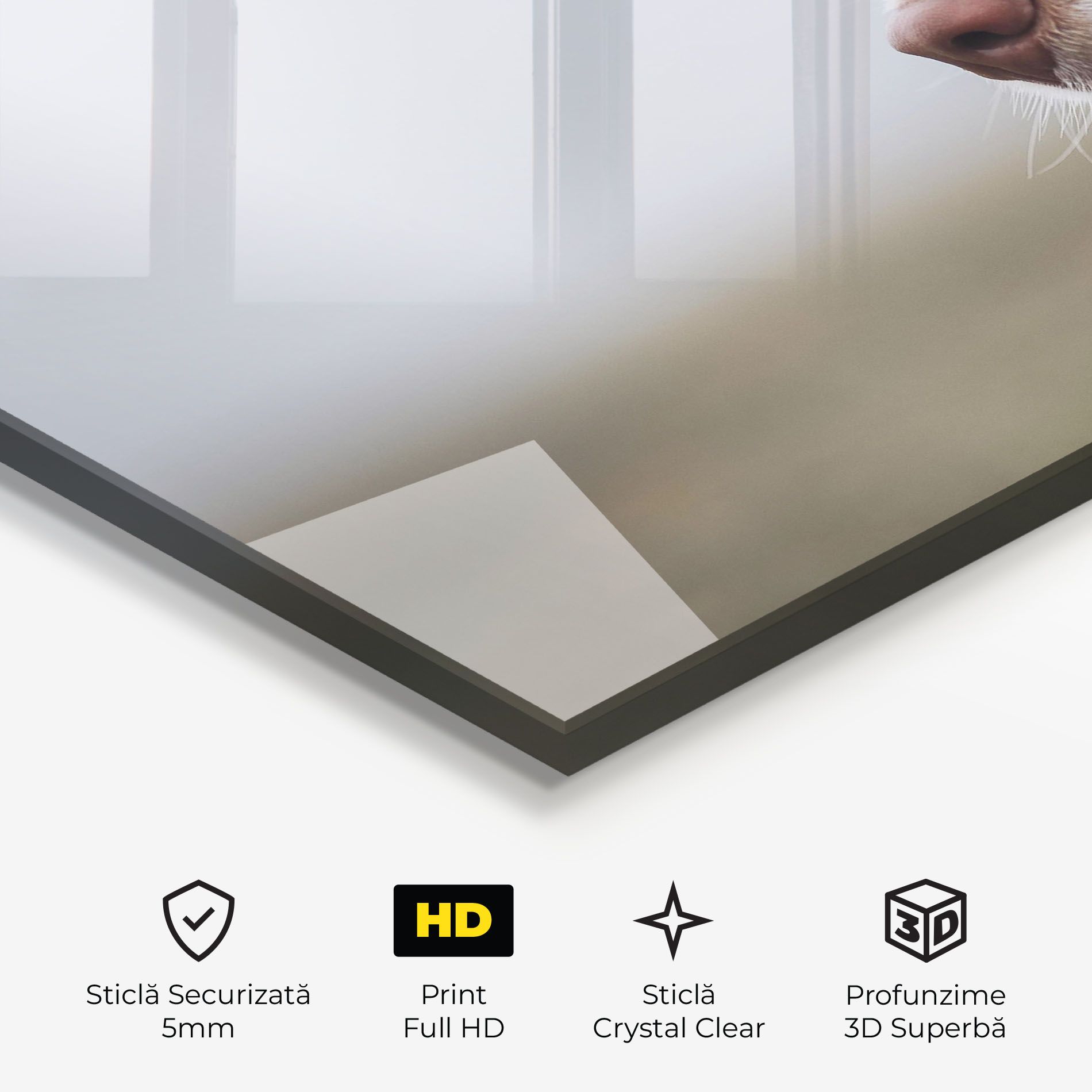 Brown White Dog mockup 3