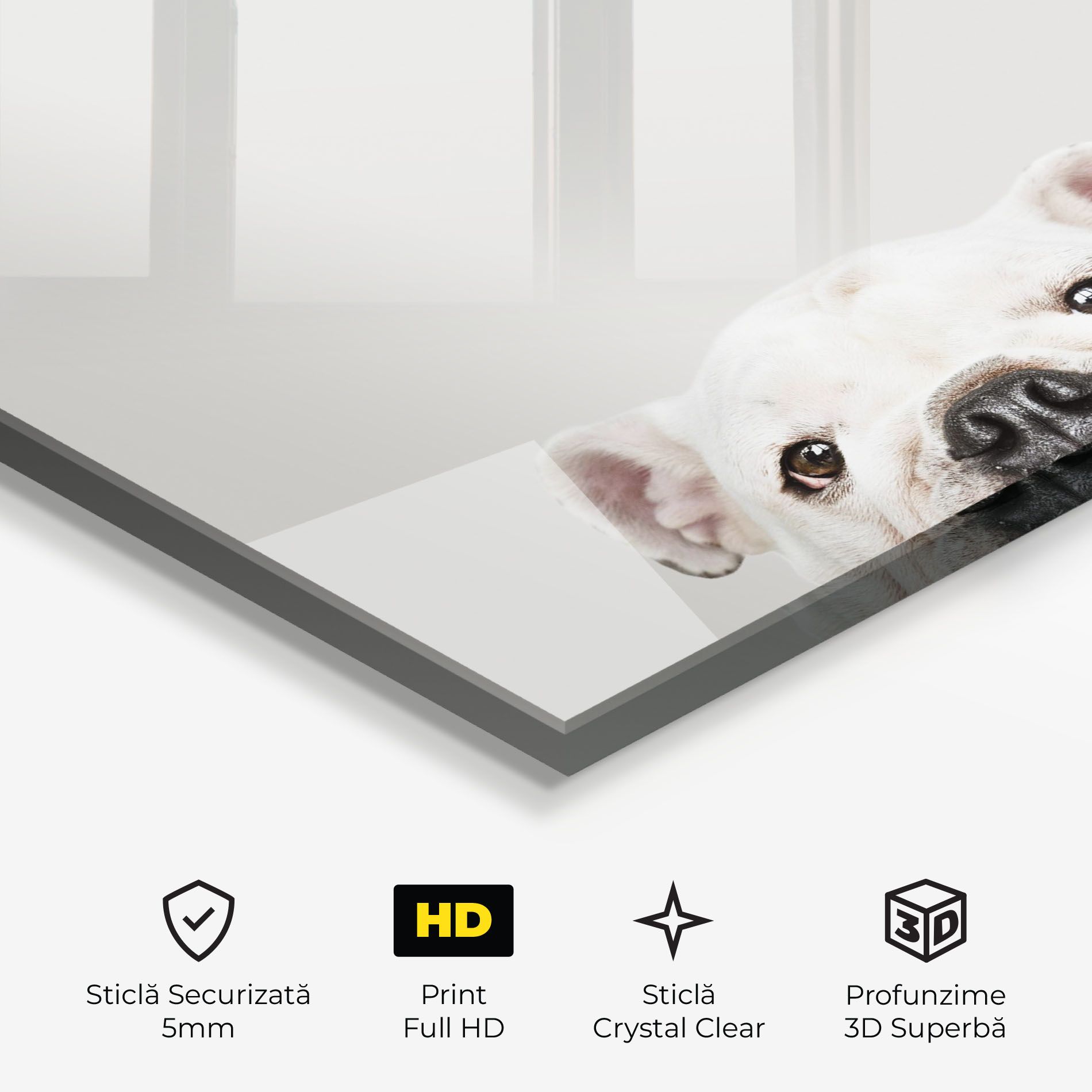 Bulldog Eyes mockup 3