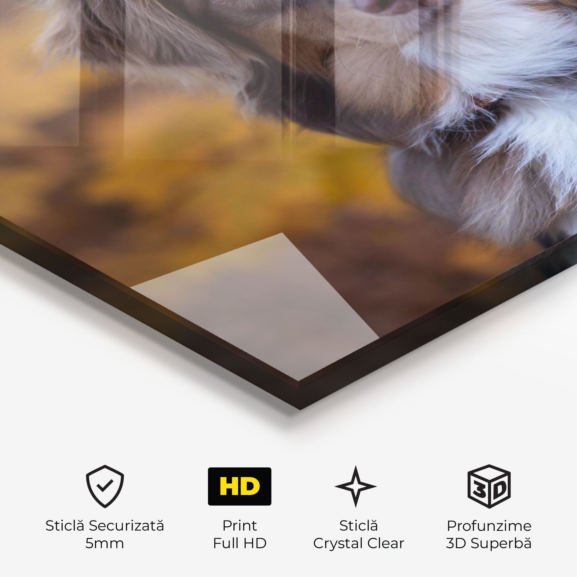 Coffee Brown Dog mockup 3