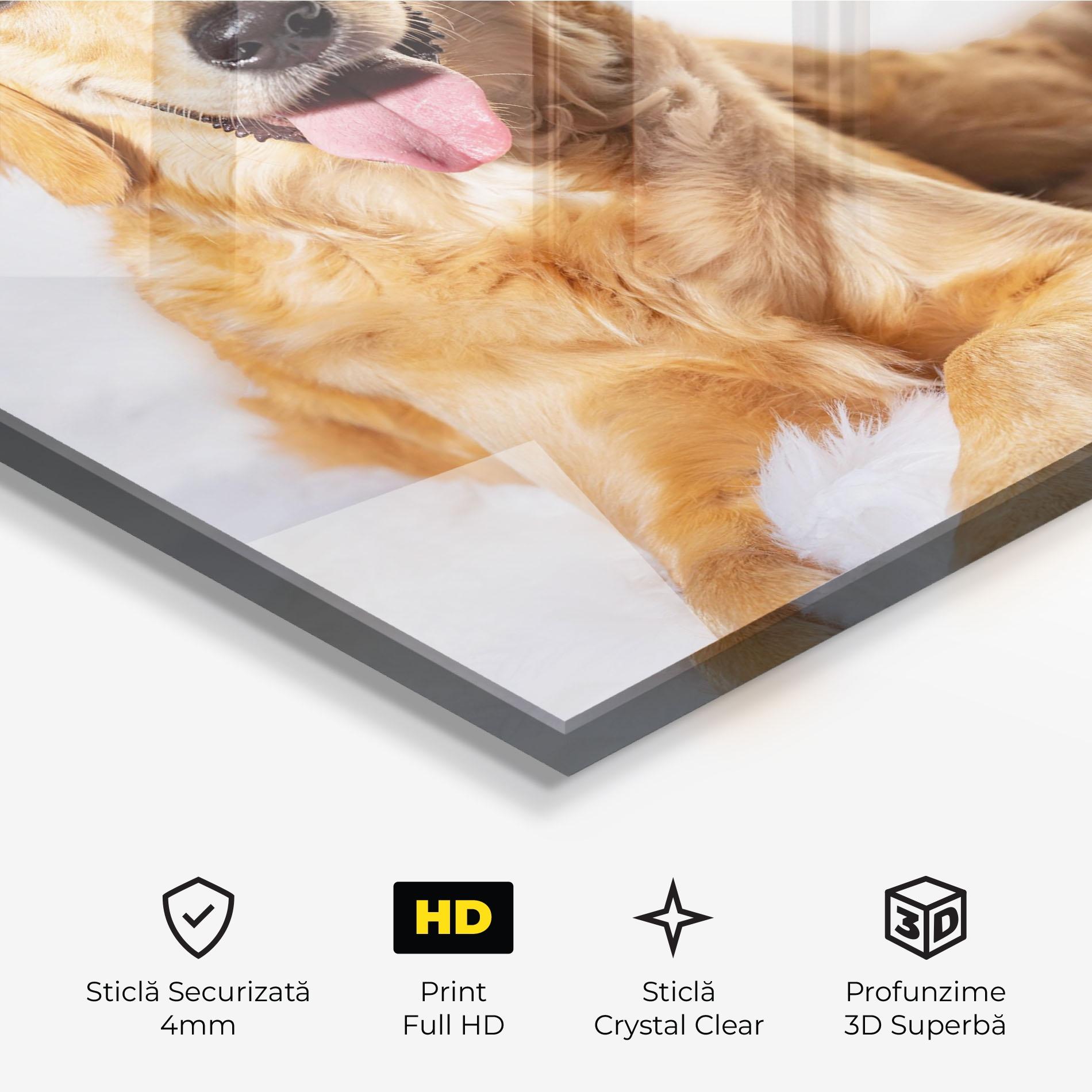 Tablou Sticla Beautiful Gold Dog mockup 3