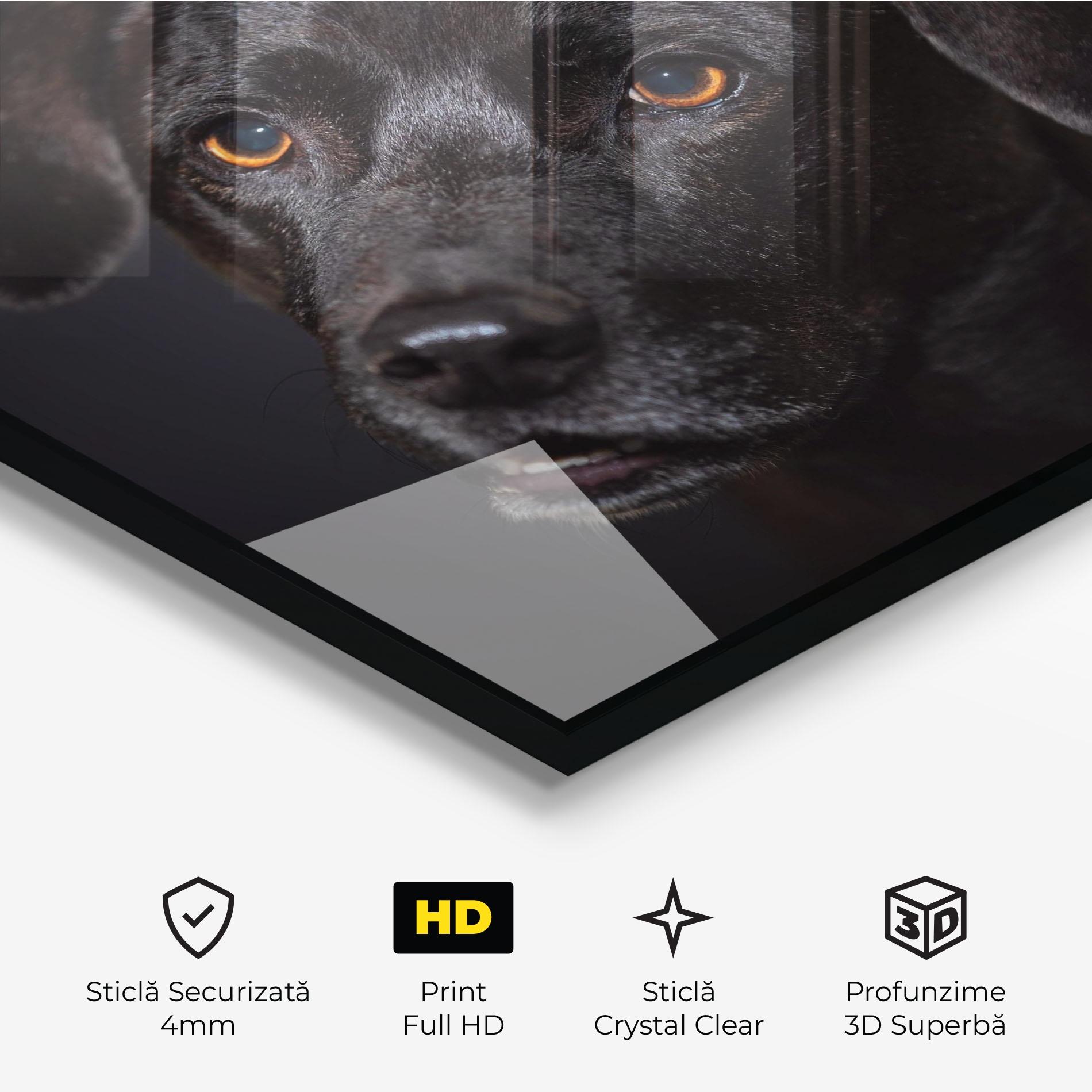 Tablou Sticla Black Dog Portrait mockup 3