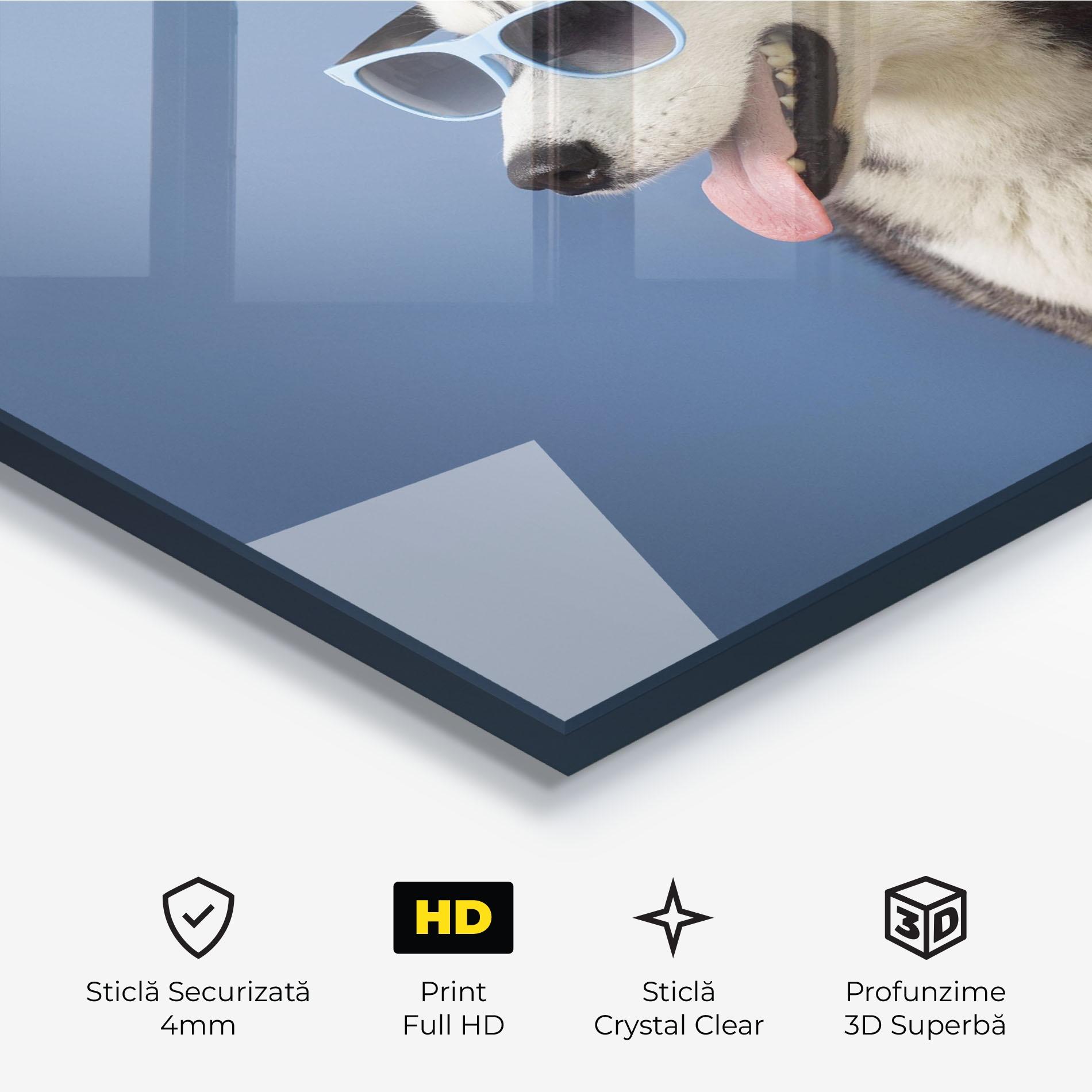 Tablou Sticla Blue Glasses Dog mockup 3