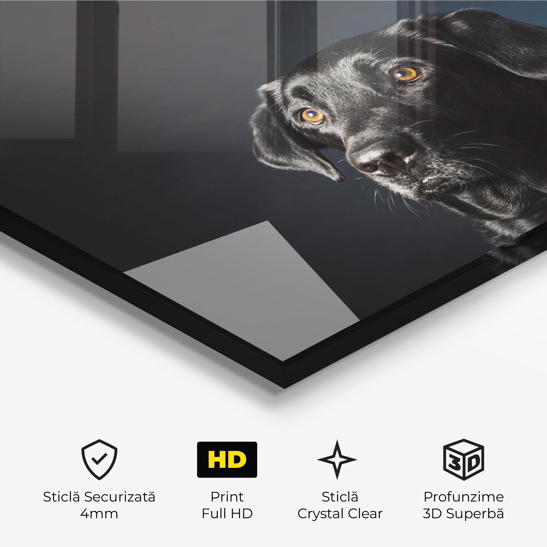 Tablou Sticla Brown Eyes Dog mockup 3