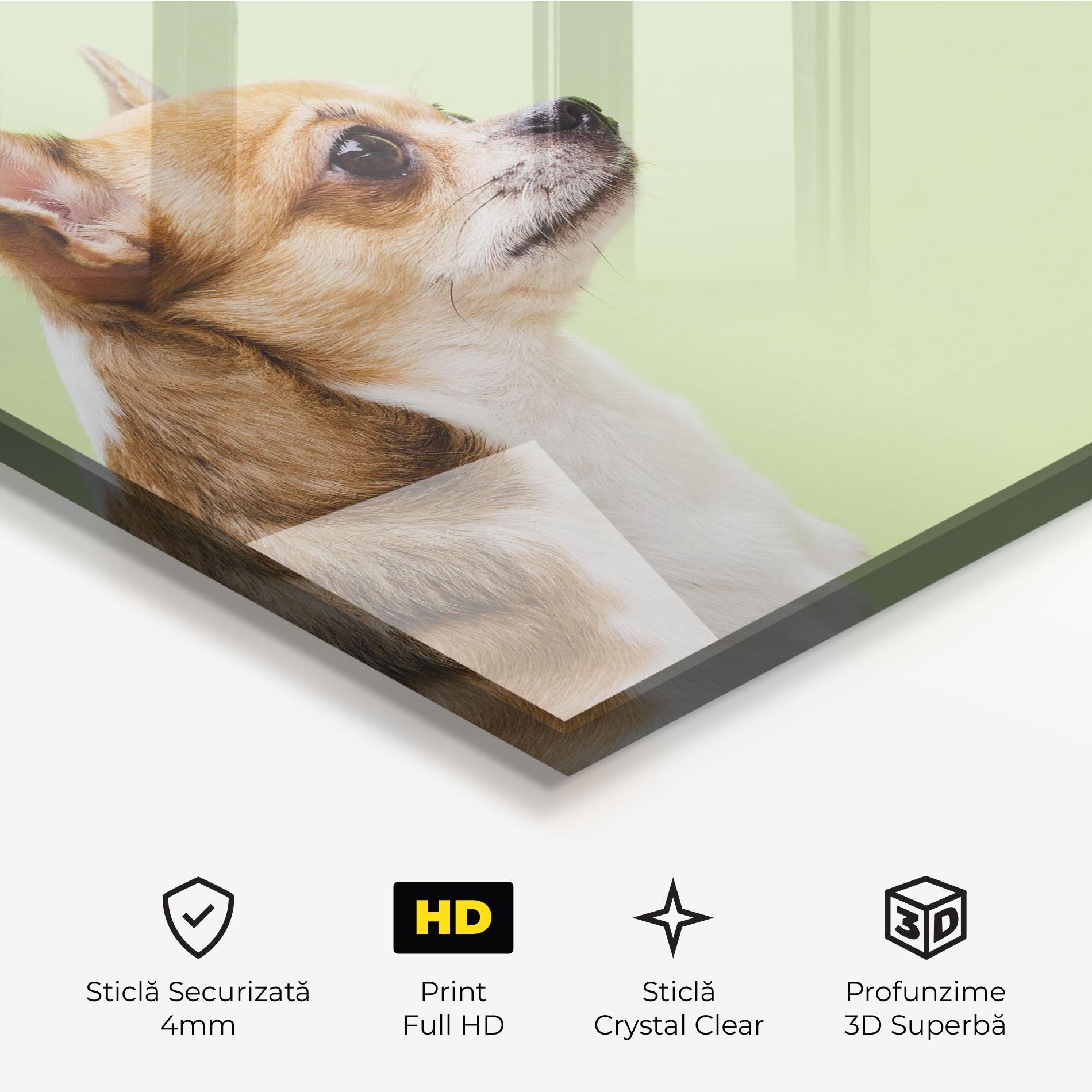 Tablou Sticla Chihuahua Dog mockup 3