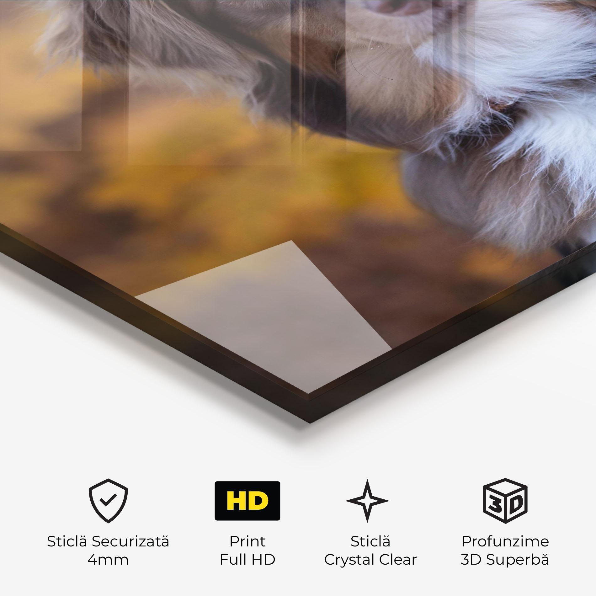 Tablou Sticla Coffee Brown Dog mockup 3