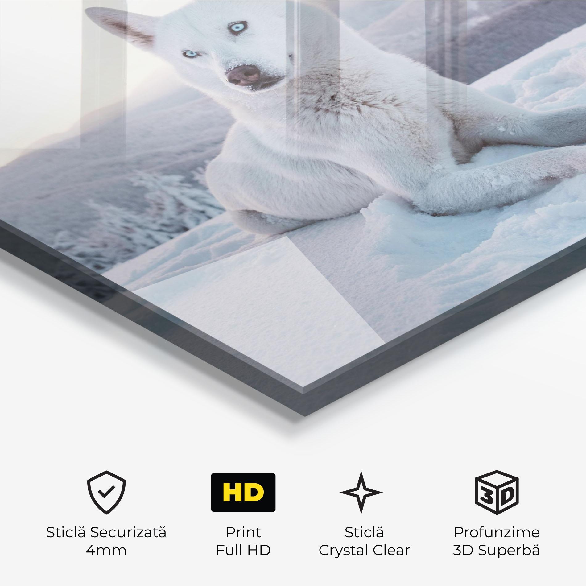 Tablou Sticla White Husky mockup 3