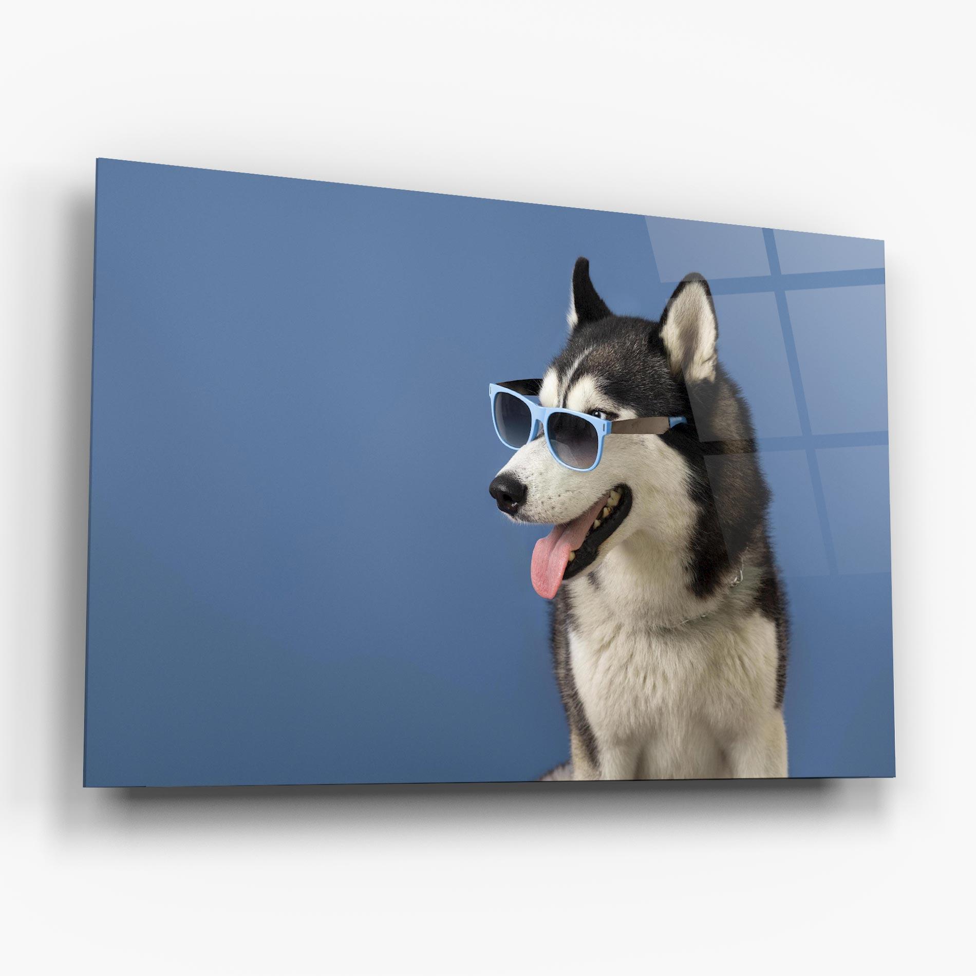 Tablou Sticla Blue Glasses Dog mockup 6