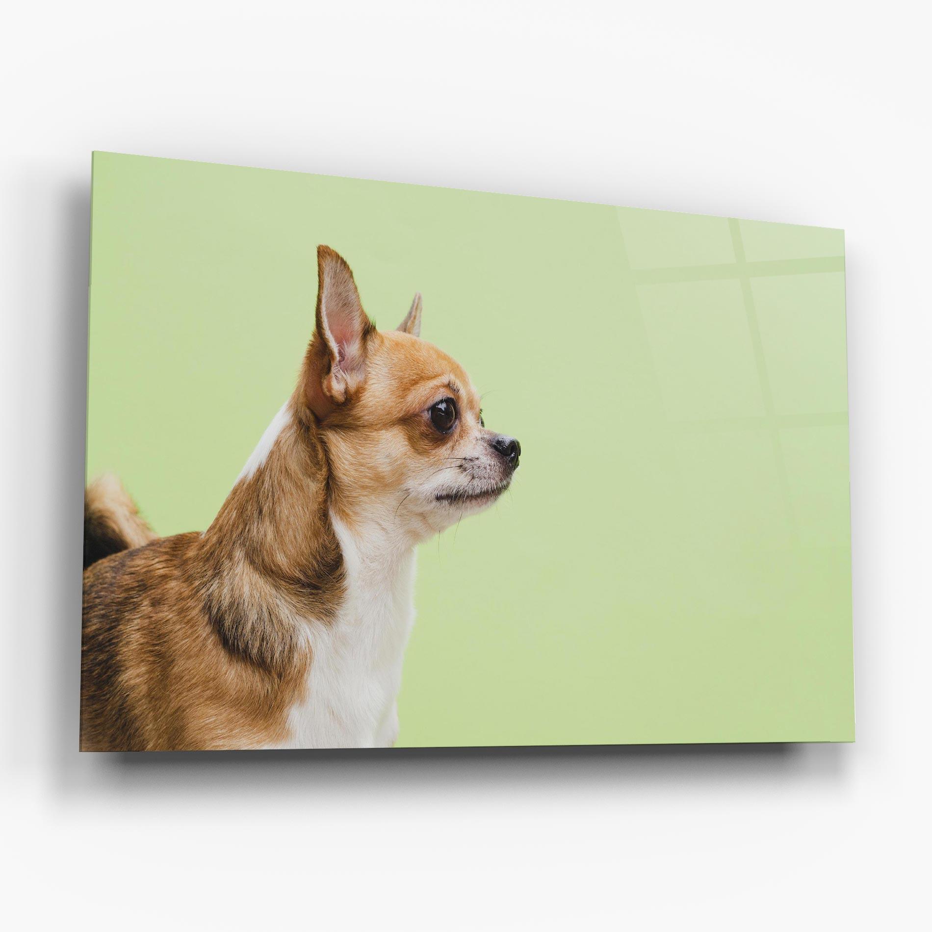 Tablou Sticla Chihuahua Dog mockup 6