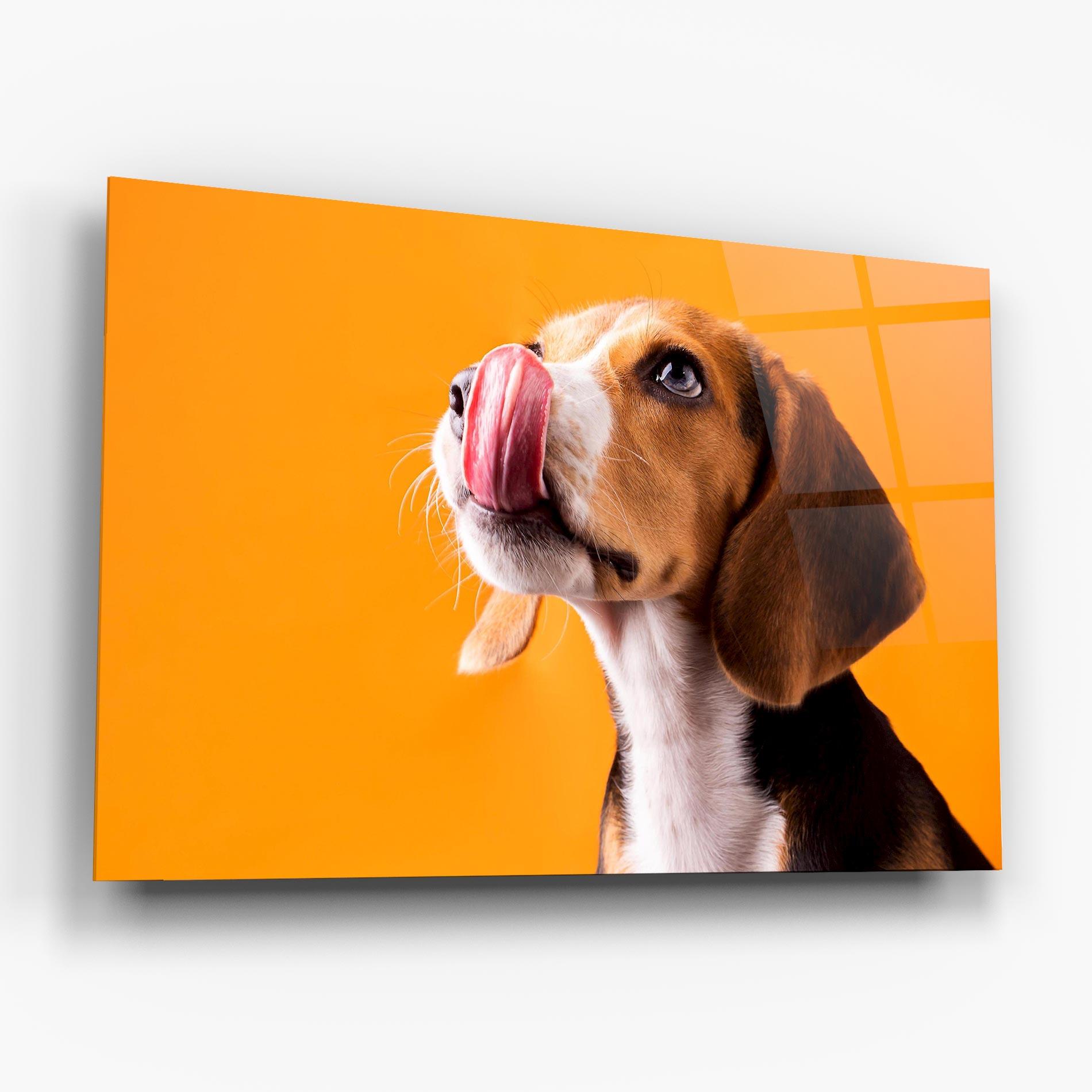 Tablou Sticla Cute Beagle Puppy mockup 6
