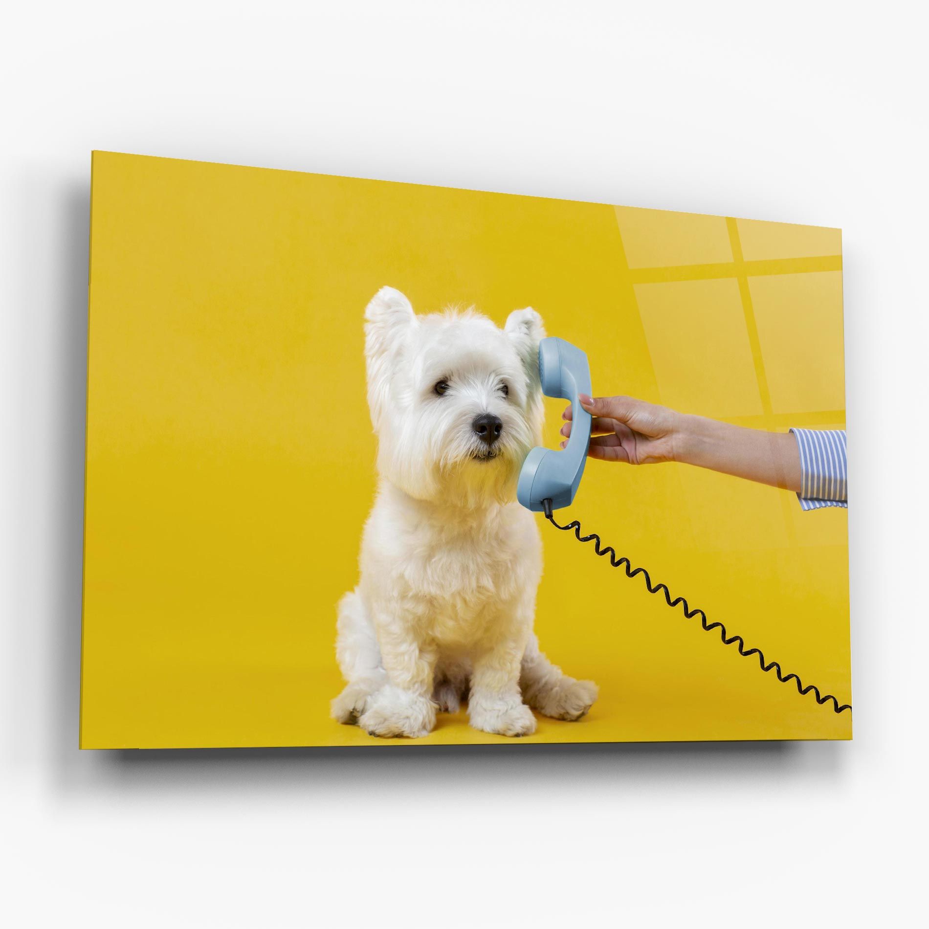 Cute Little Dog mockup 6
