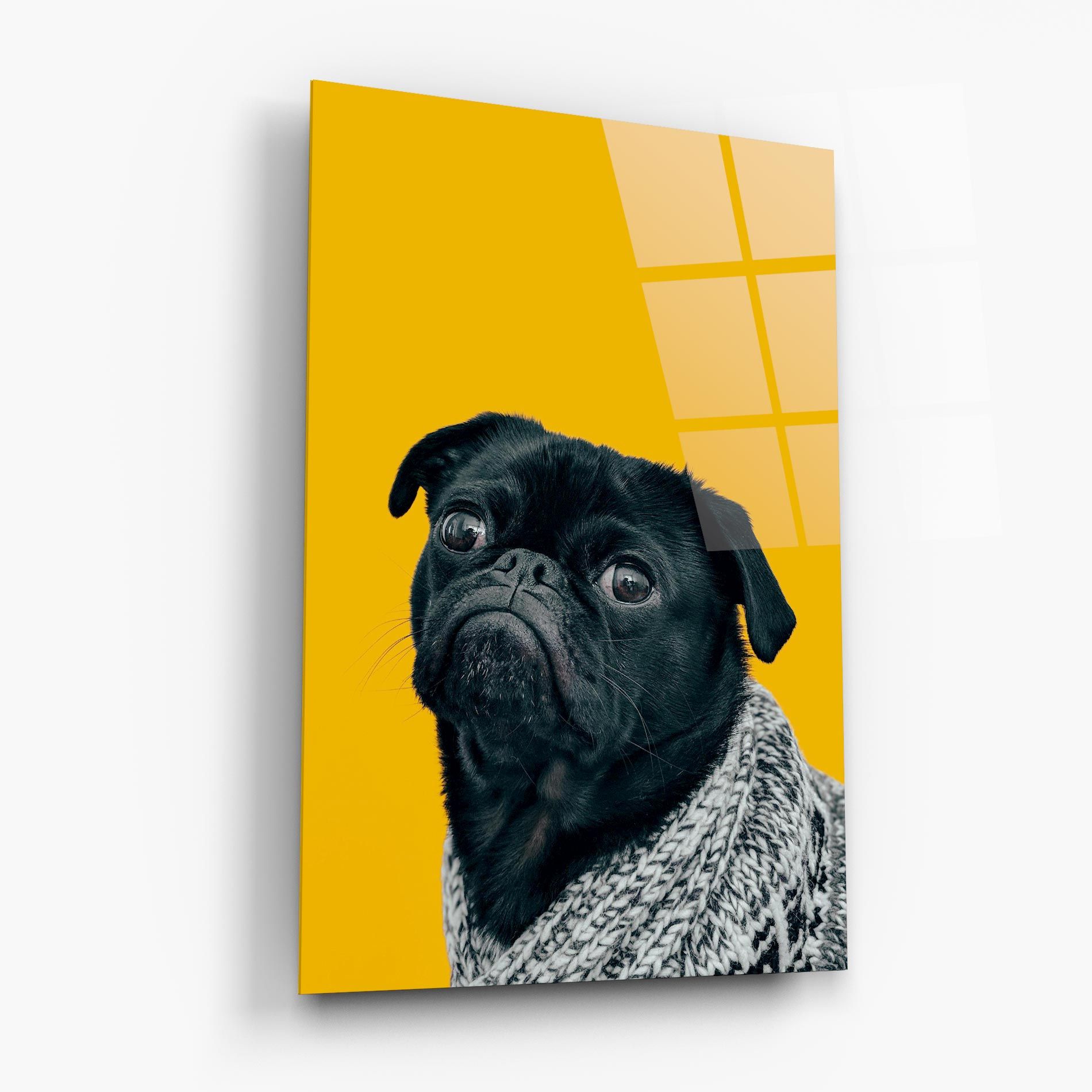 Black Pug mockup 6