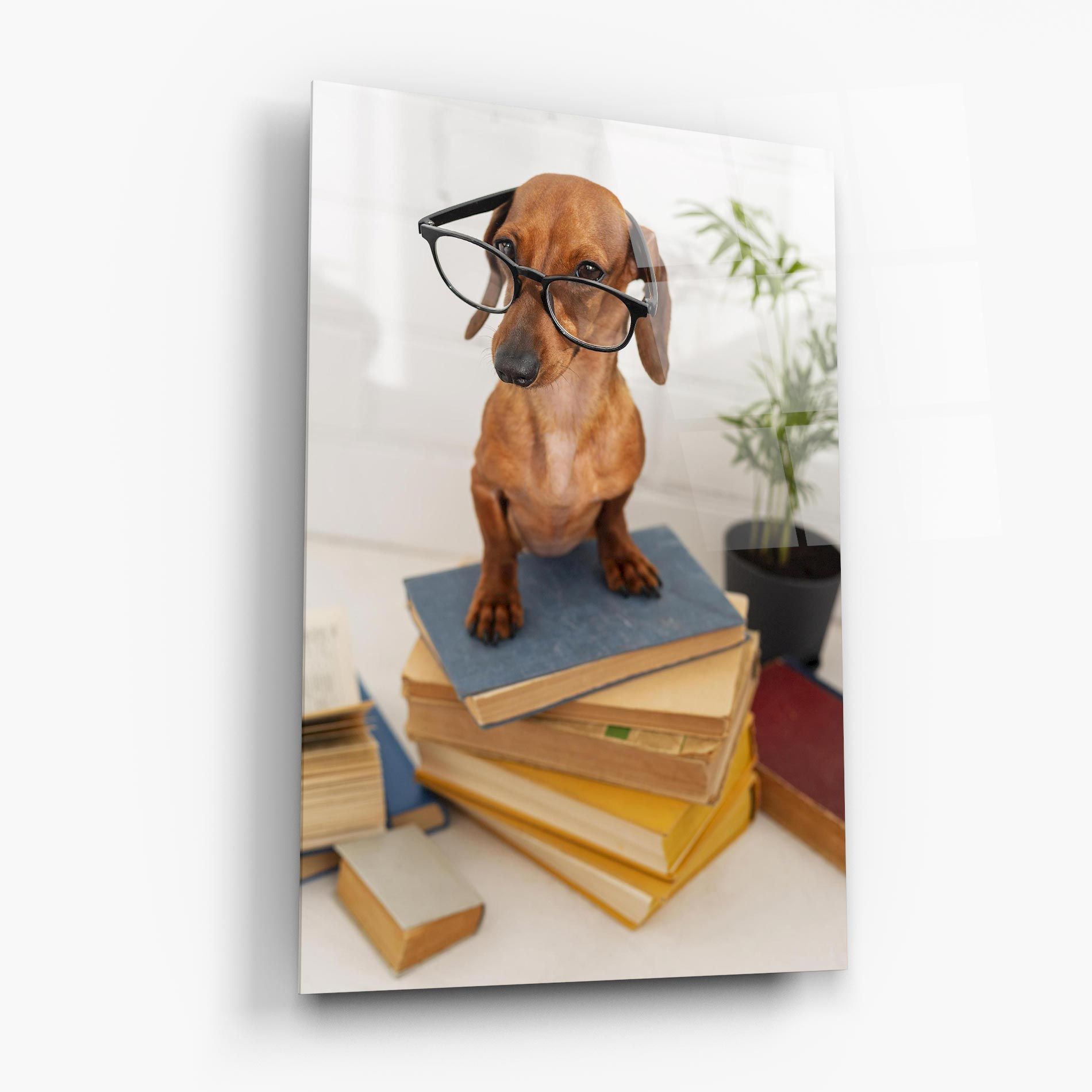 Books Cute Dog mockup 6