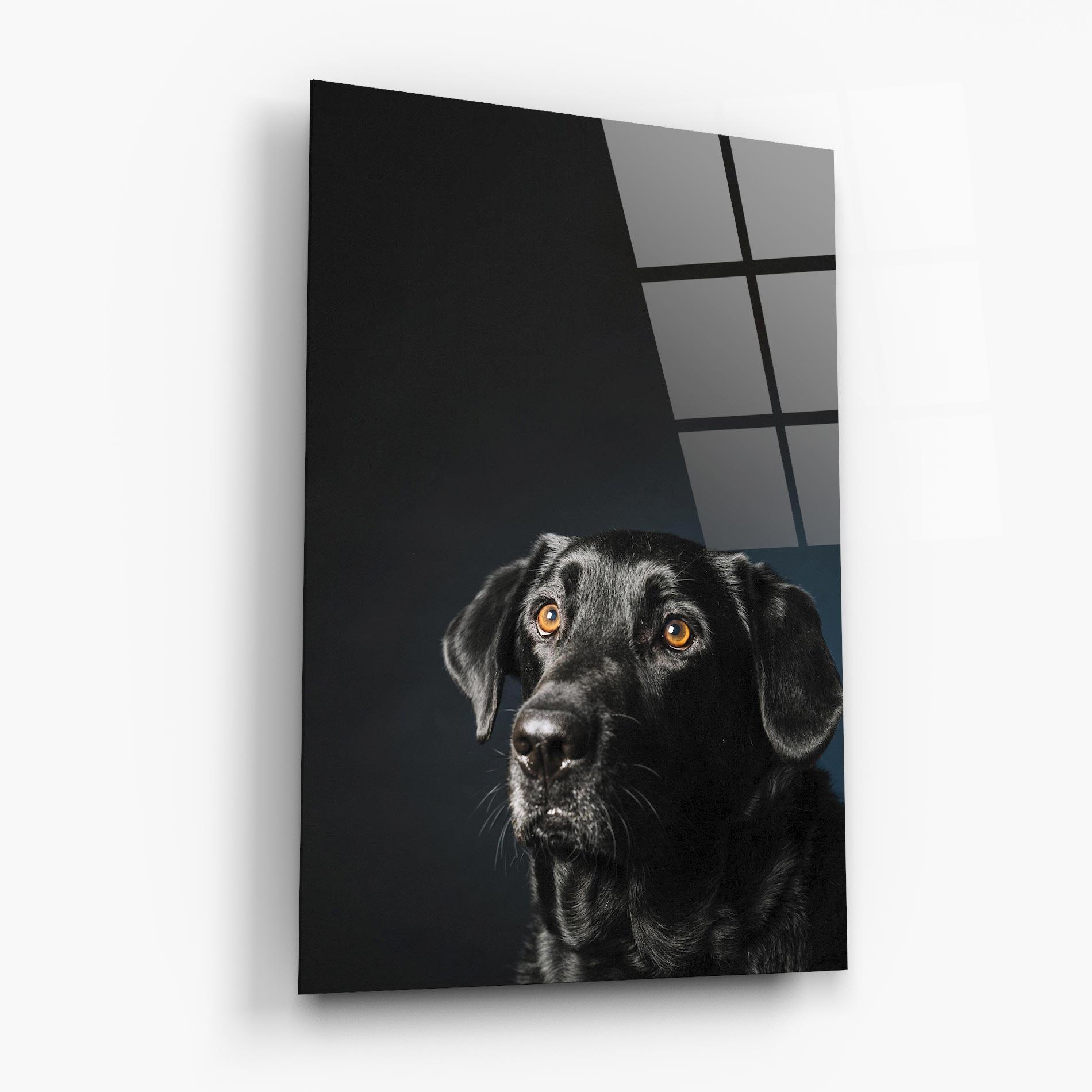 Tablou Sticla Brown Eyes Dog mockup 6