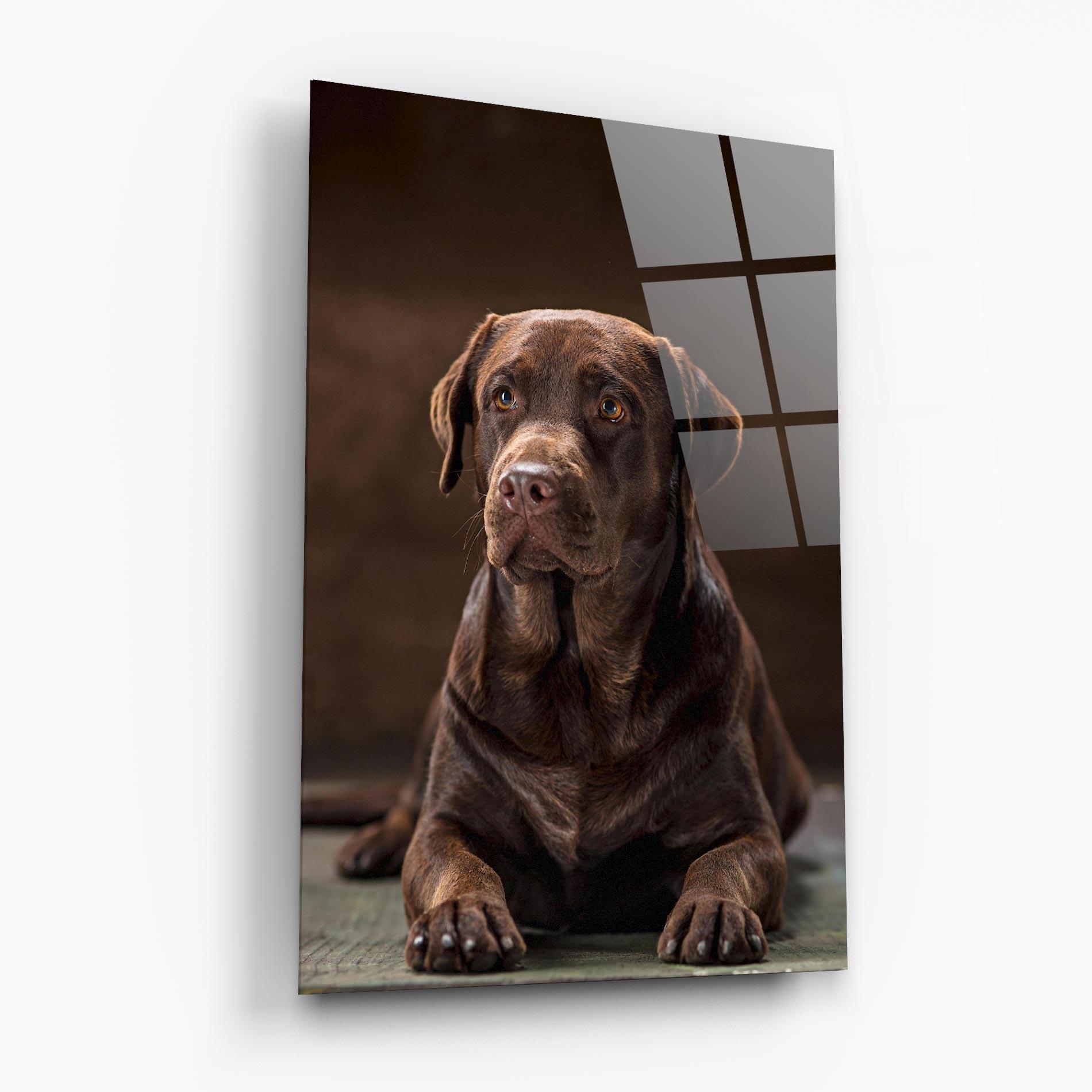 Tablou Sticla Brown Labrador Dog mockup 6
