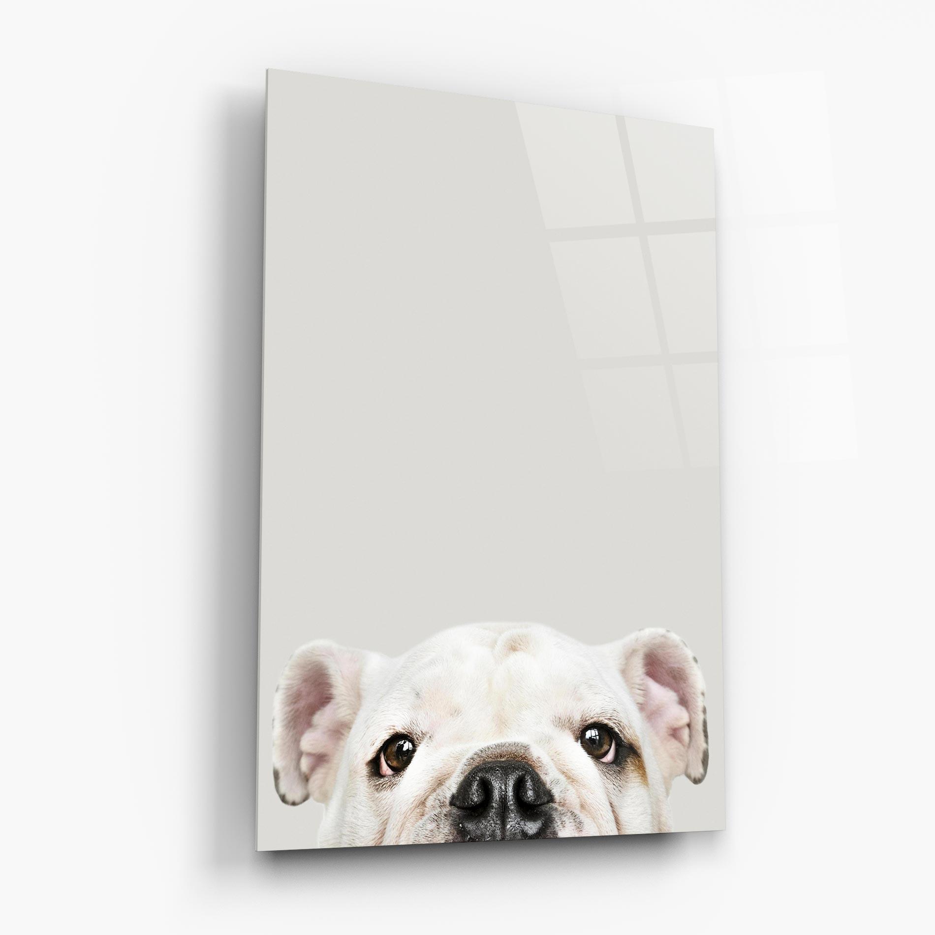 Tablou Sticla Bulldog Eyes mockup 6